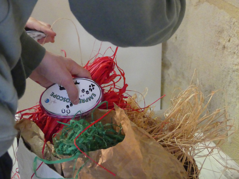 Création d'un empreintoscope à Terres d'Oiseaux, Braud-et-Saint-Louis - photo 8