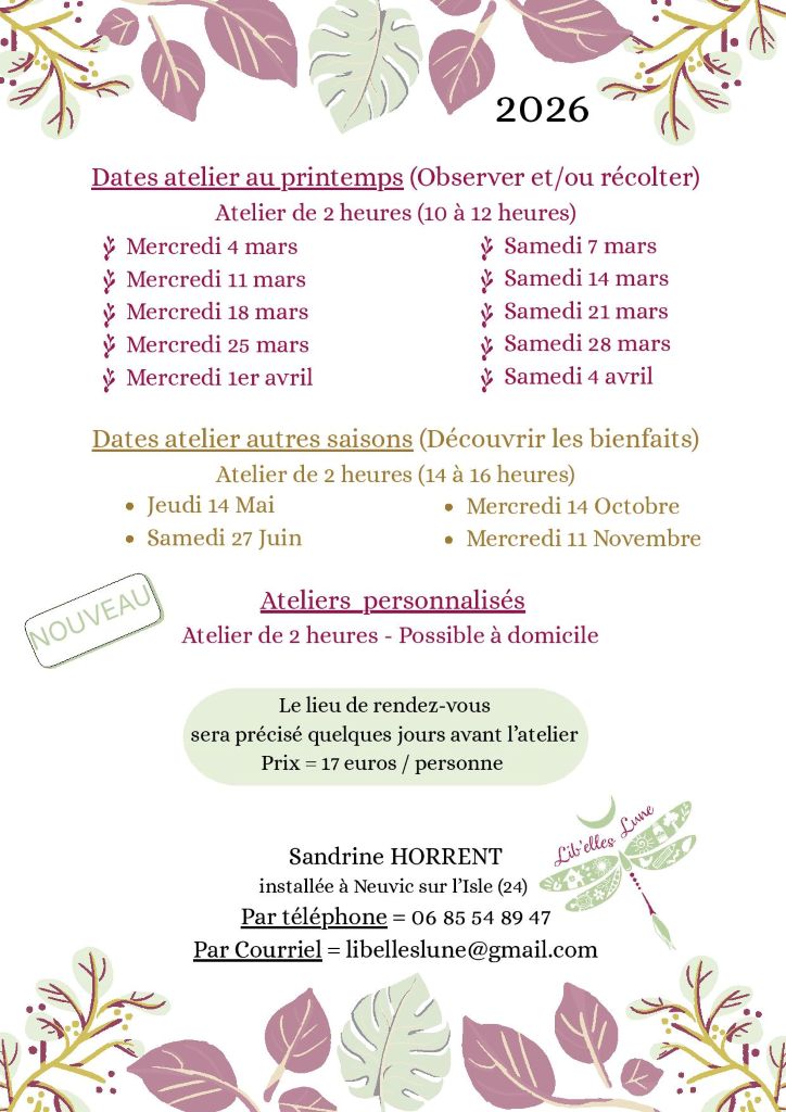 Atelier : découverte de la gemmothérapie