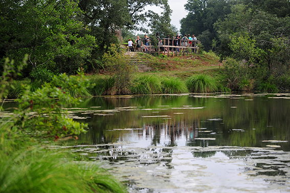 A Bostens, petit circuit des 9 fontaines, Bostens - photo 3