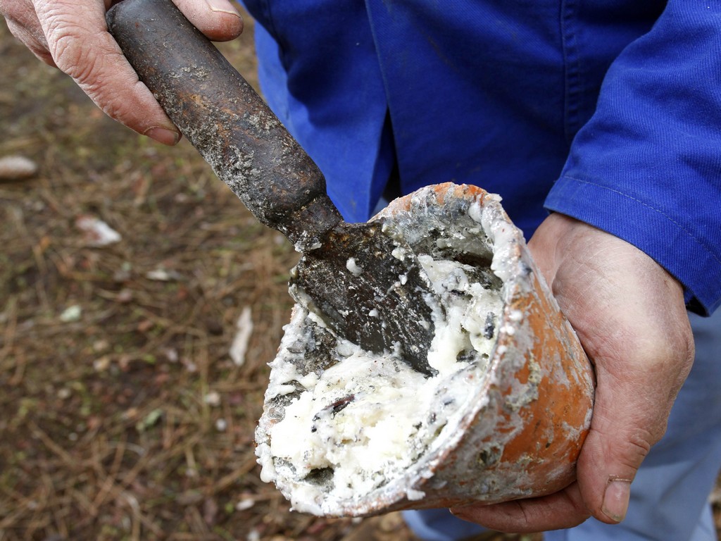 Les Gascons de Biscarrosse - photo 3