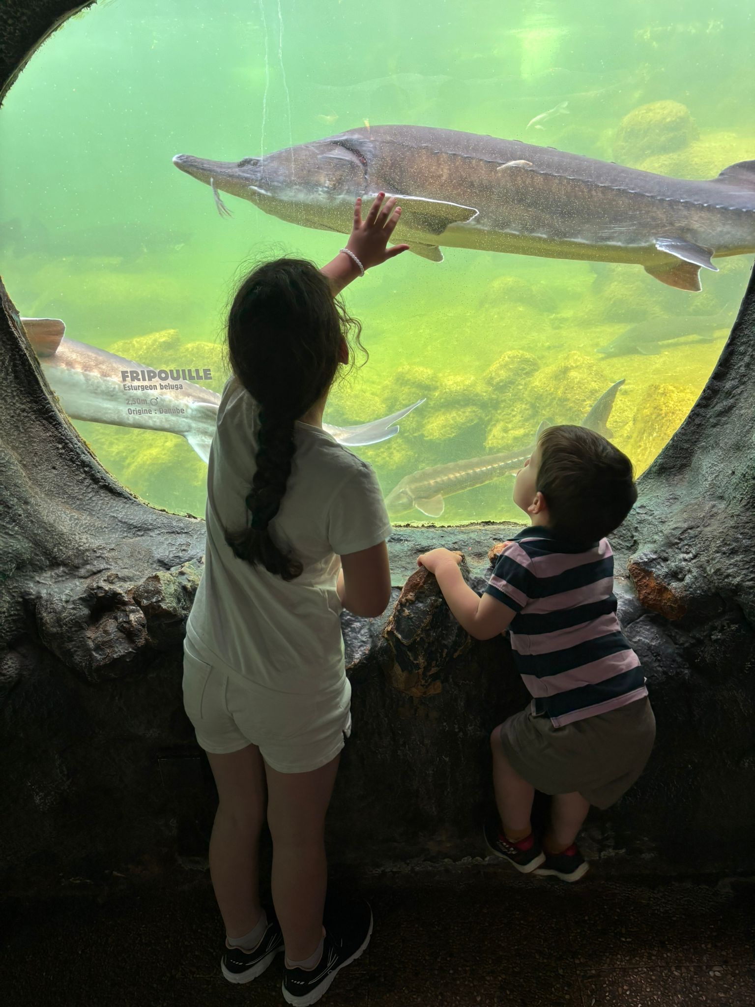 Aquarium du Périgord Noir - Univerland Le Bugue - photo 2