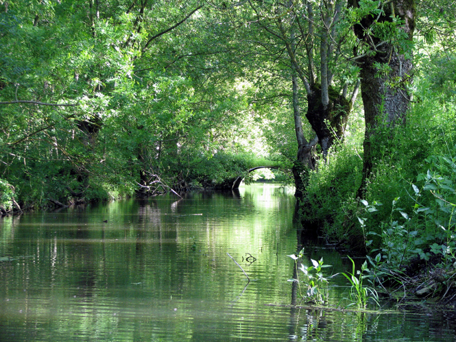 Embarcadère "Au Martin Pêcheur" - photo 5