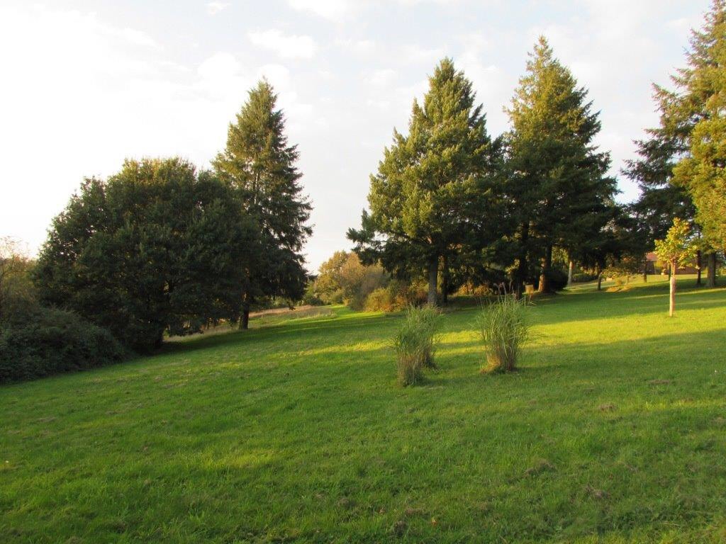 La Cabane du Vallon d'Éole, Beaulieu-sous-Parthenay - photo 7
