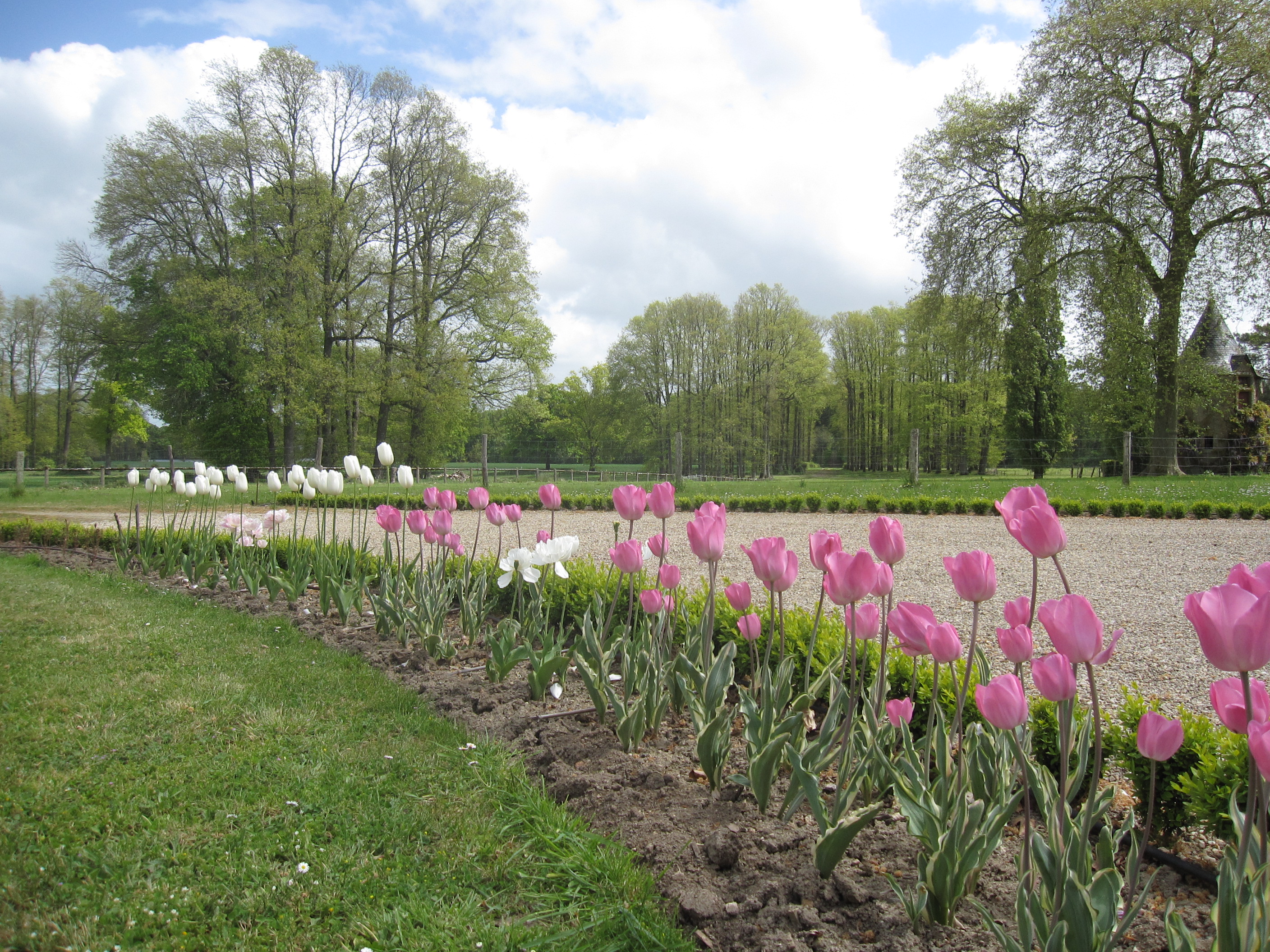 Parc du Château du Theil, Saint-Aubin-le-Cloud - photo 2