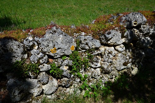 Saint-Thomas, par Saint-Just et Piquepoul, Hautefage-la-Tour