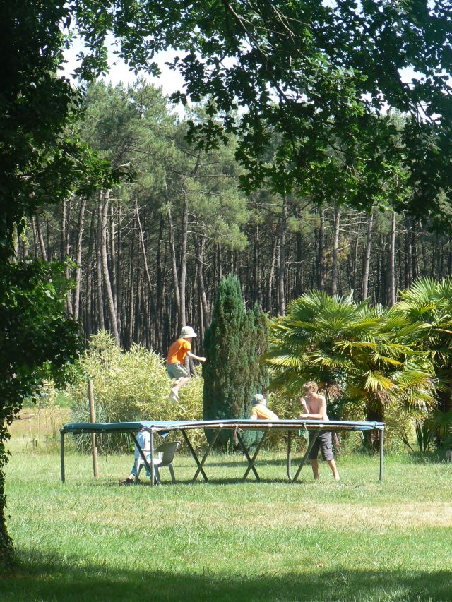 Aire naturelle Le Toy - photo 3