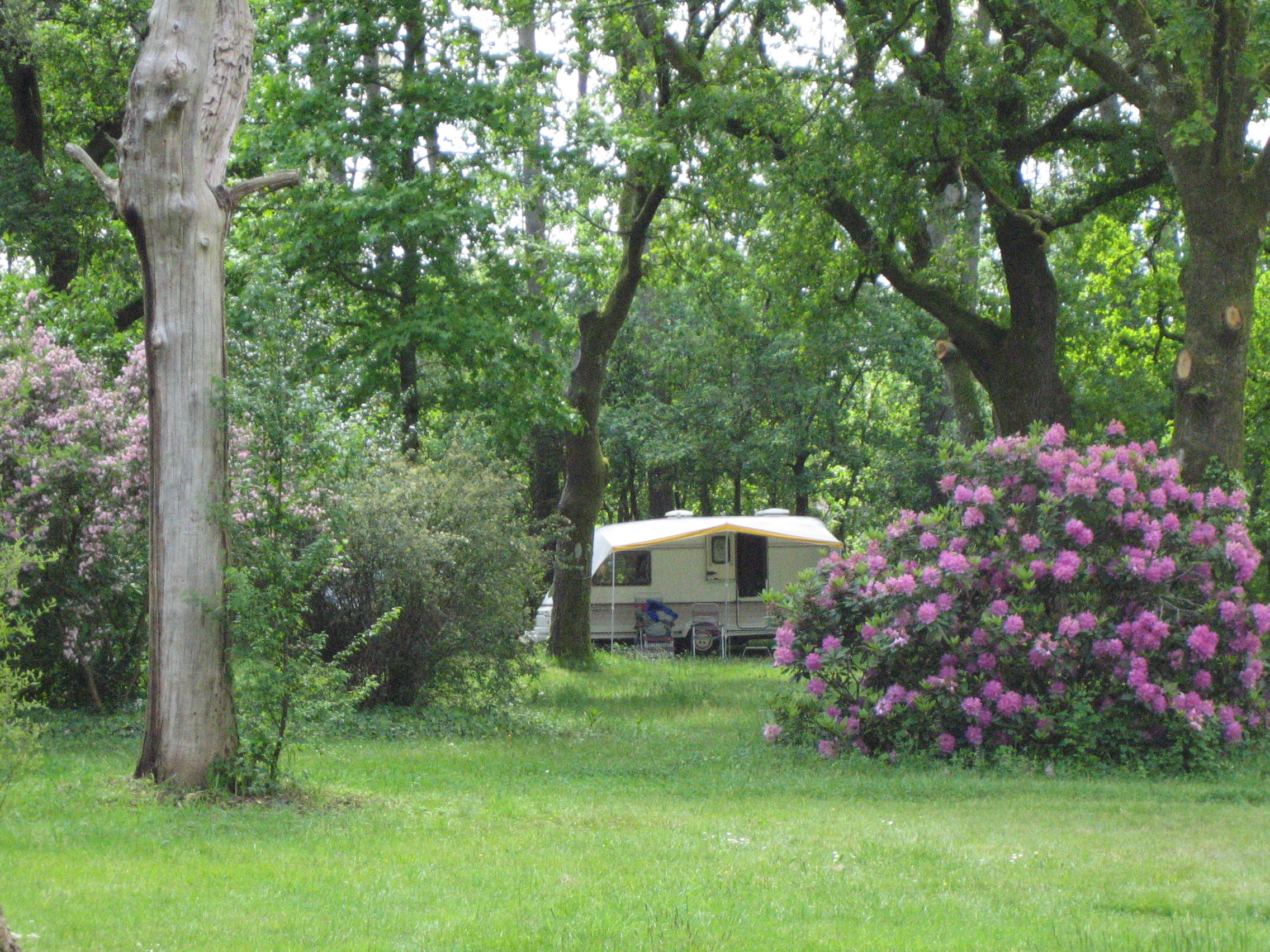 Aire naturelle Le Toy - photo 2