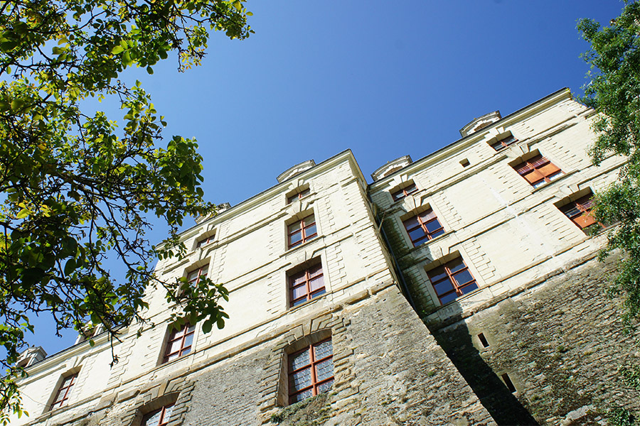 Château des Ducs de La Trémoïlle, Thouars - photo 5