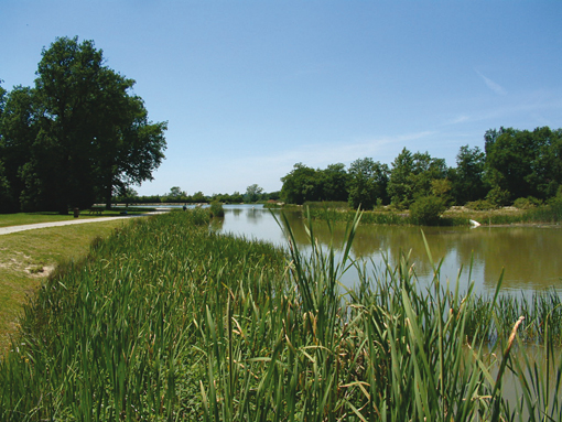 Plan d'eau du Bois Meunier — photo 2
