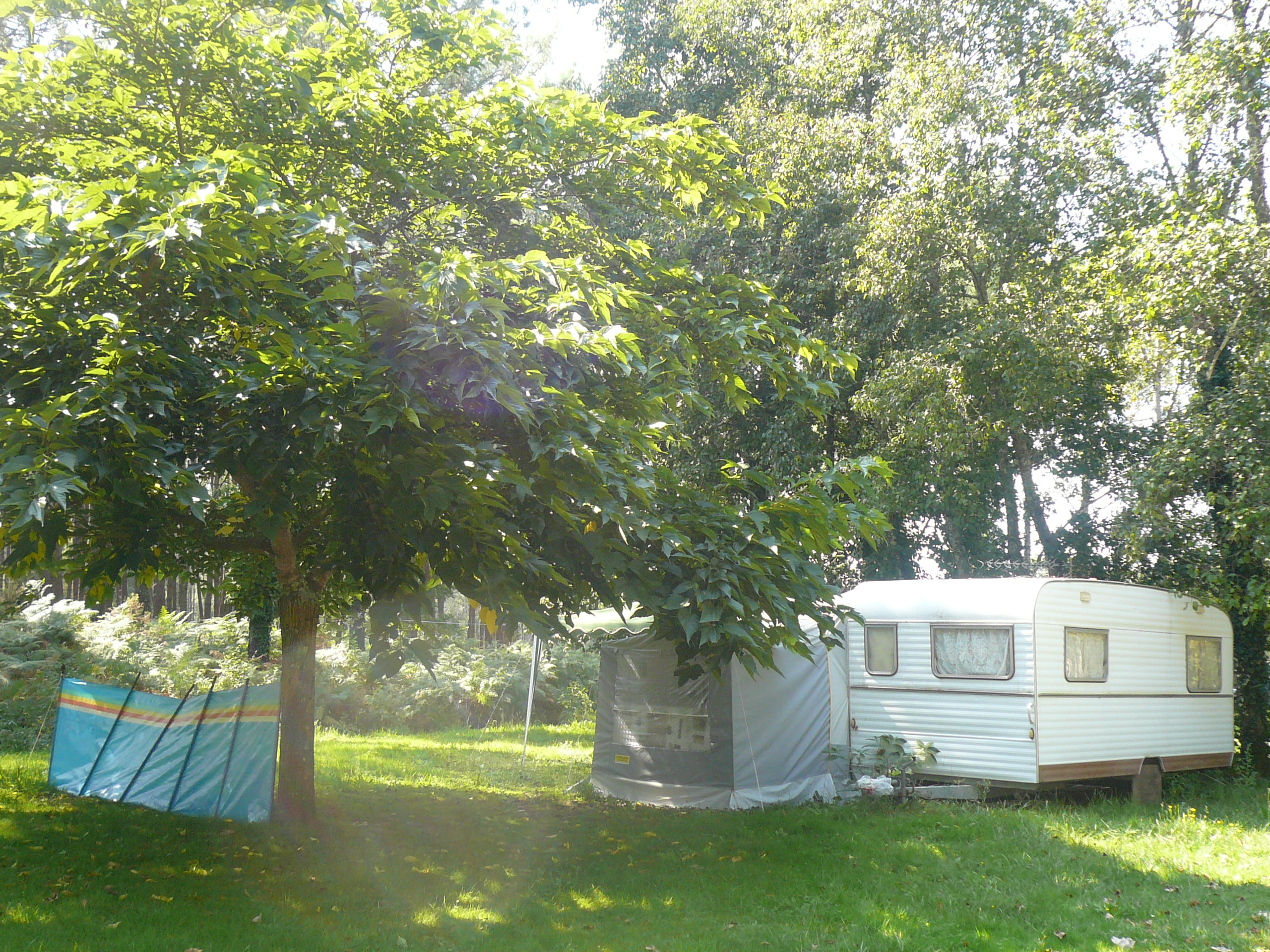 Camping Pellica
