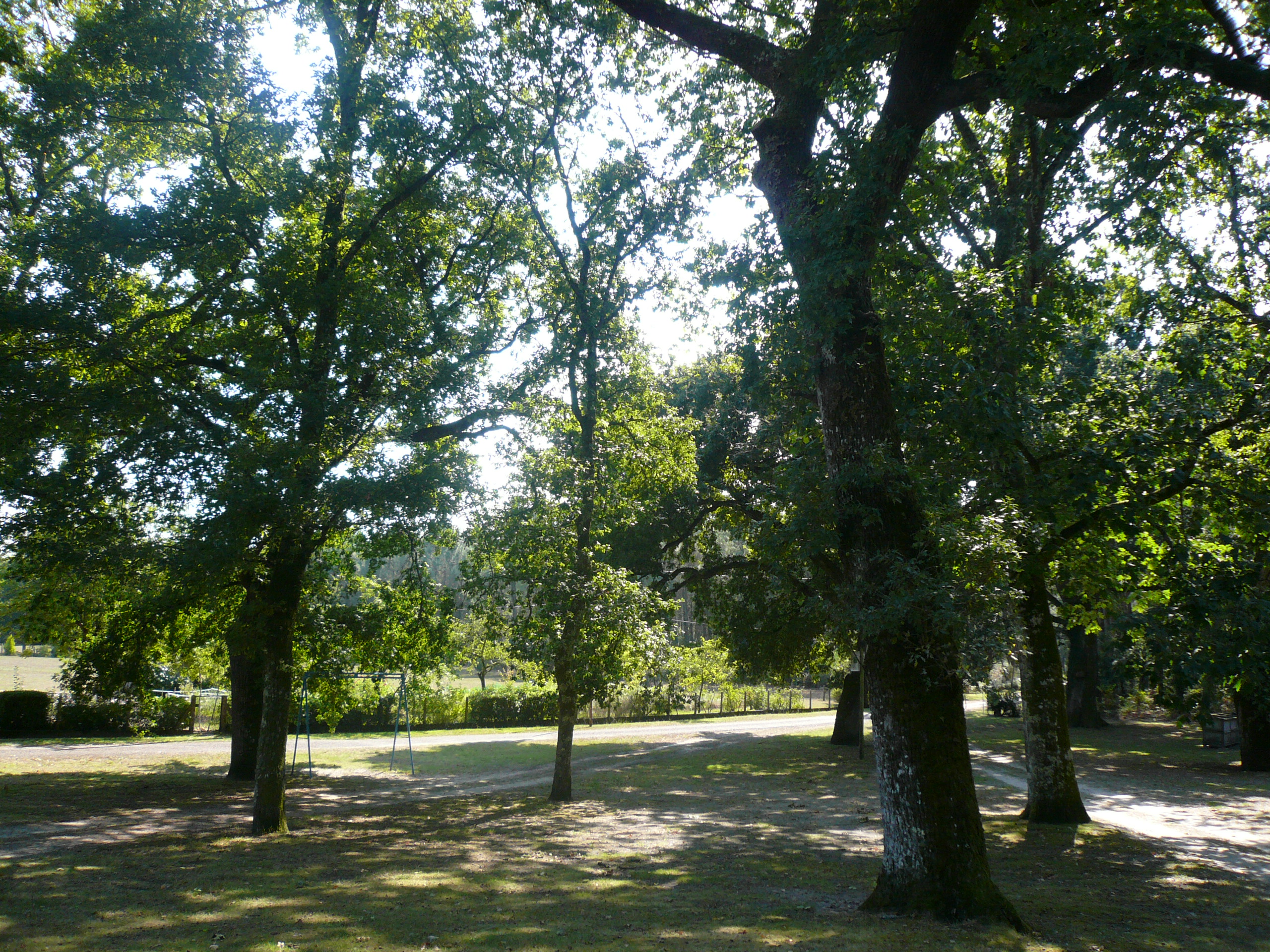 Camping Pellica - photo 2