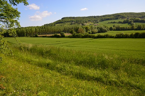 Saint-Thomas, par Saint-Just et Piquepoul, Hautefage-la-Tour - photo 5
