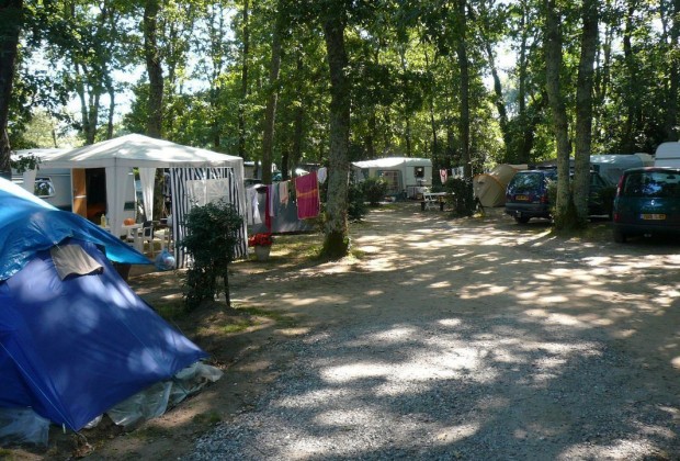 Houn de l'or, Angresse - photo 4