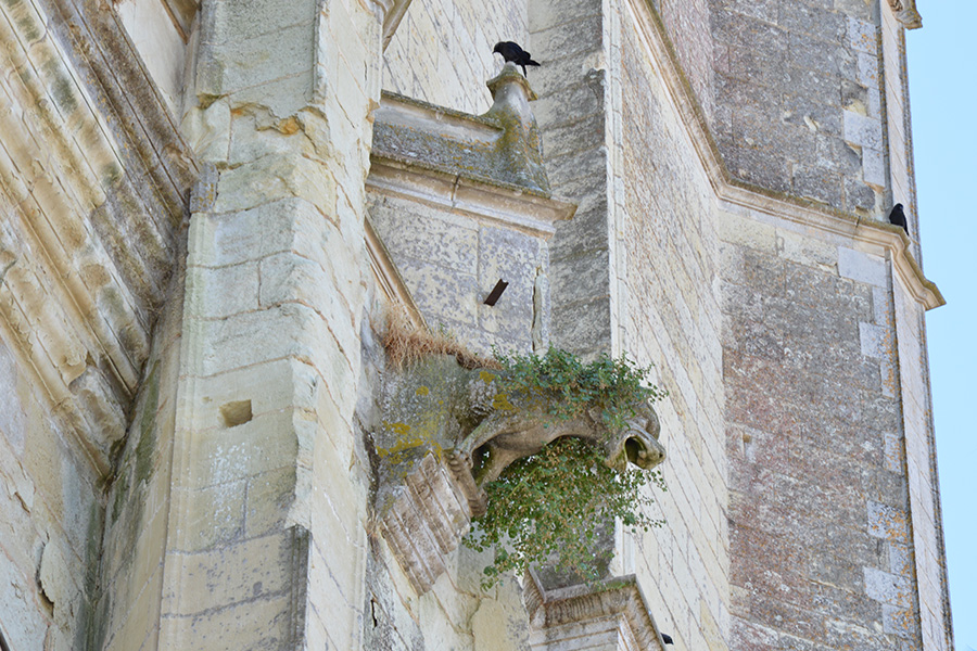 Collégiale Saint Maurice, Plaine-et-Vallées - photo 2