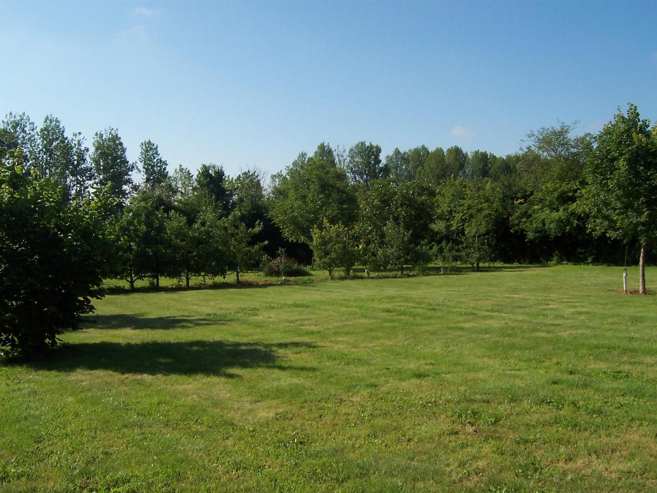 Gîte du Battreau, Massognes - photo 7