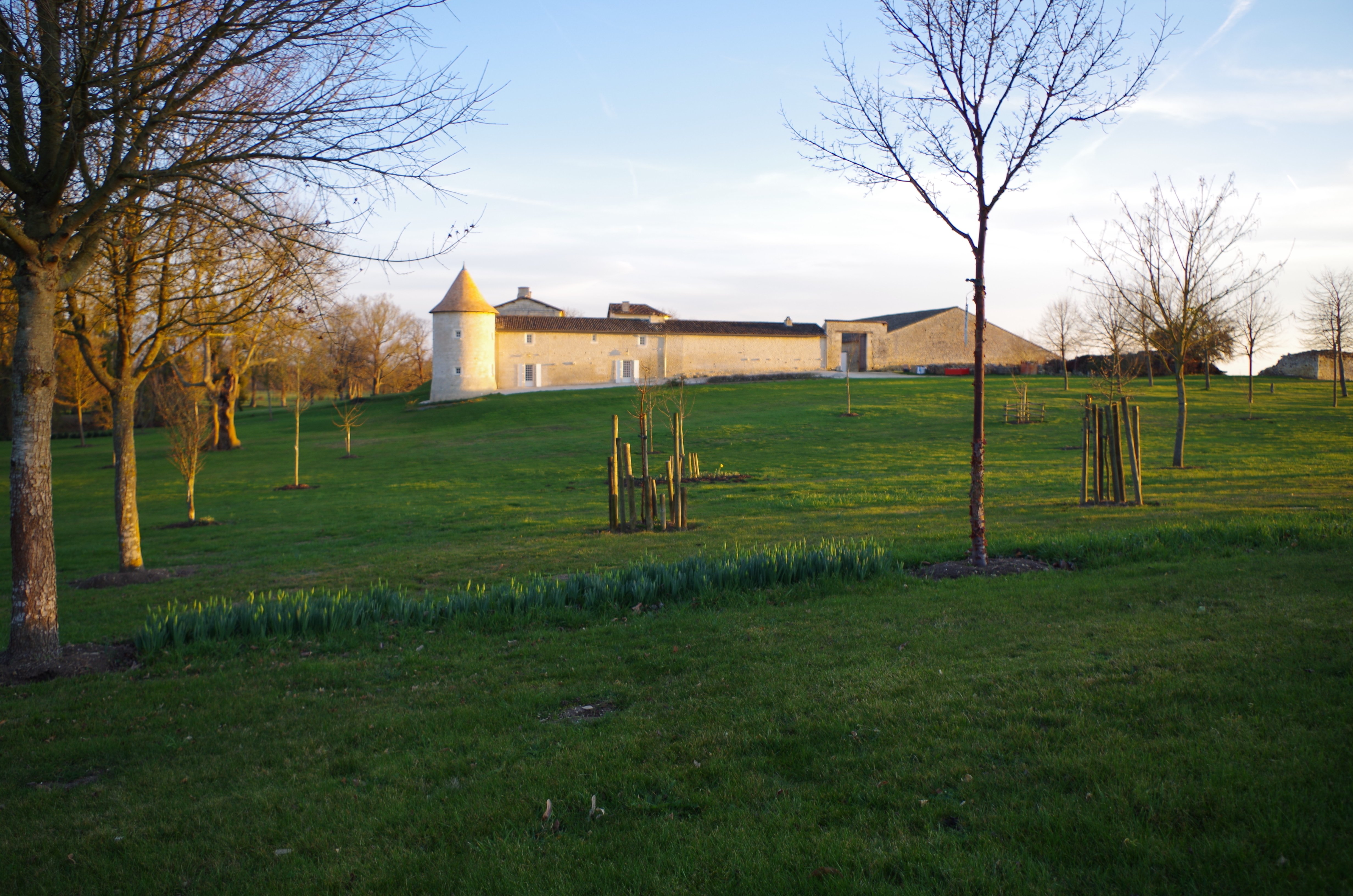 Gîte du Logis du Grand Port, Vernoux-sur-Boutonne - photo 7