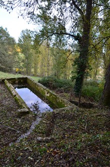 Saint-Robert, vers le lavoir de Balen, Saint-Robert - photo 2