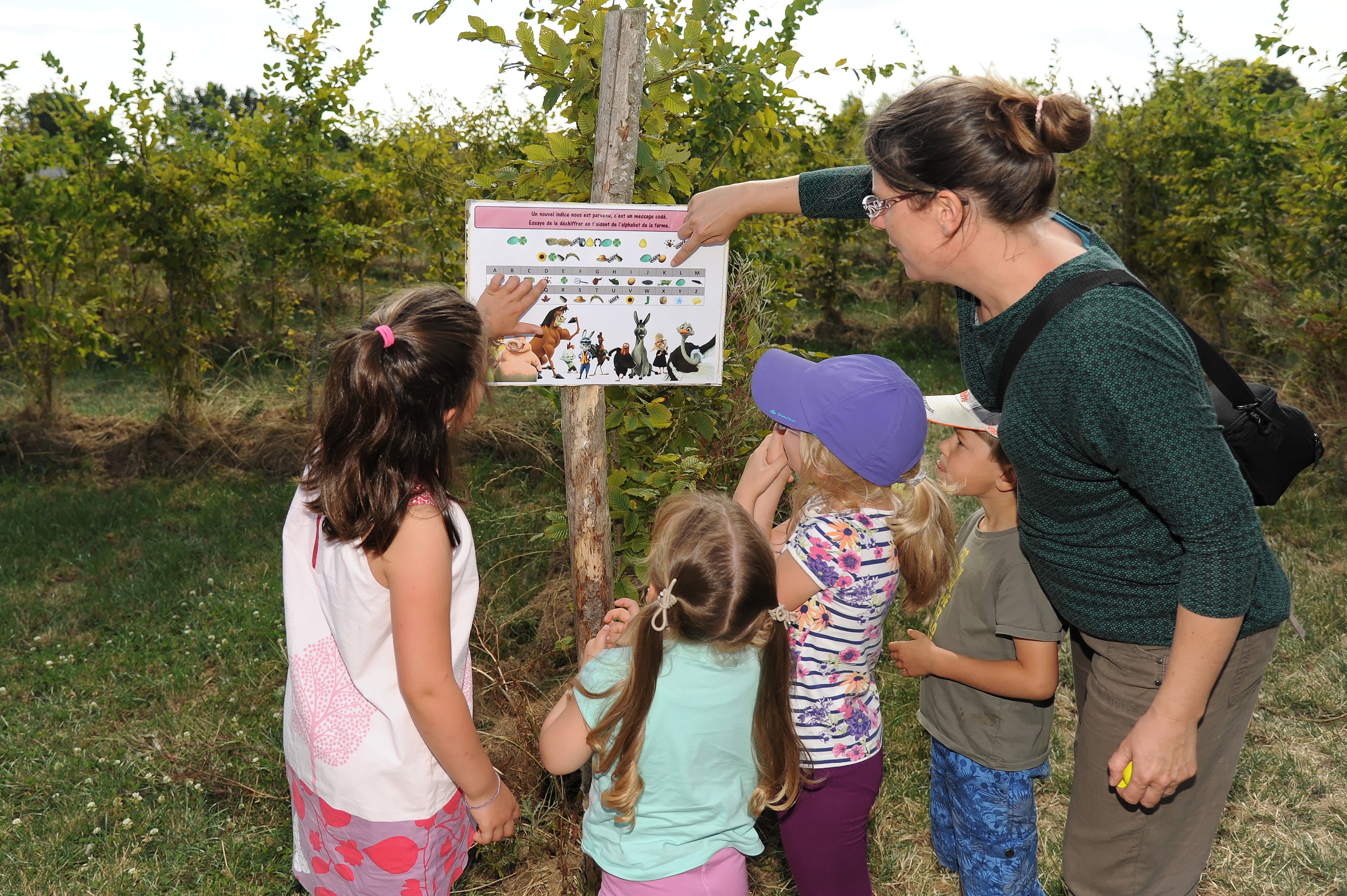 Labyrintruche, Courlay - photo 2