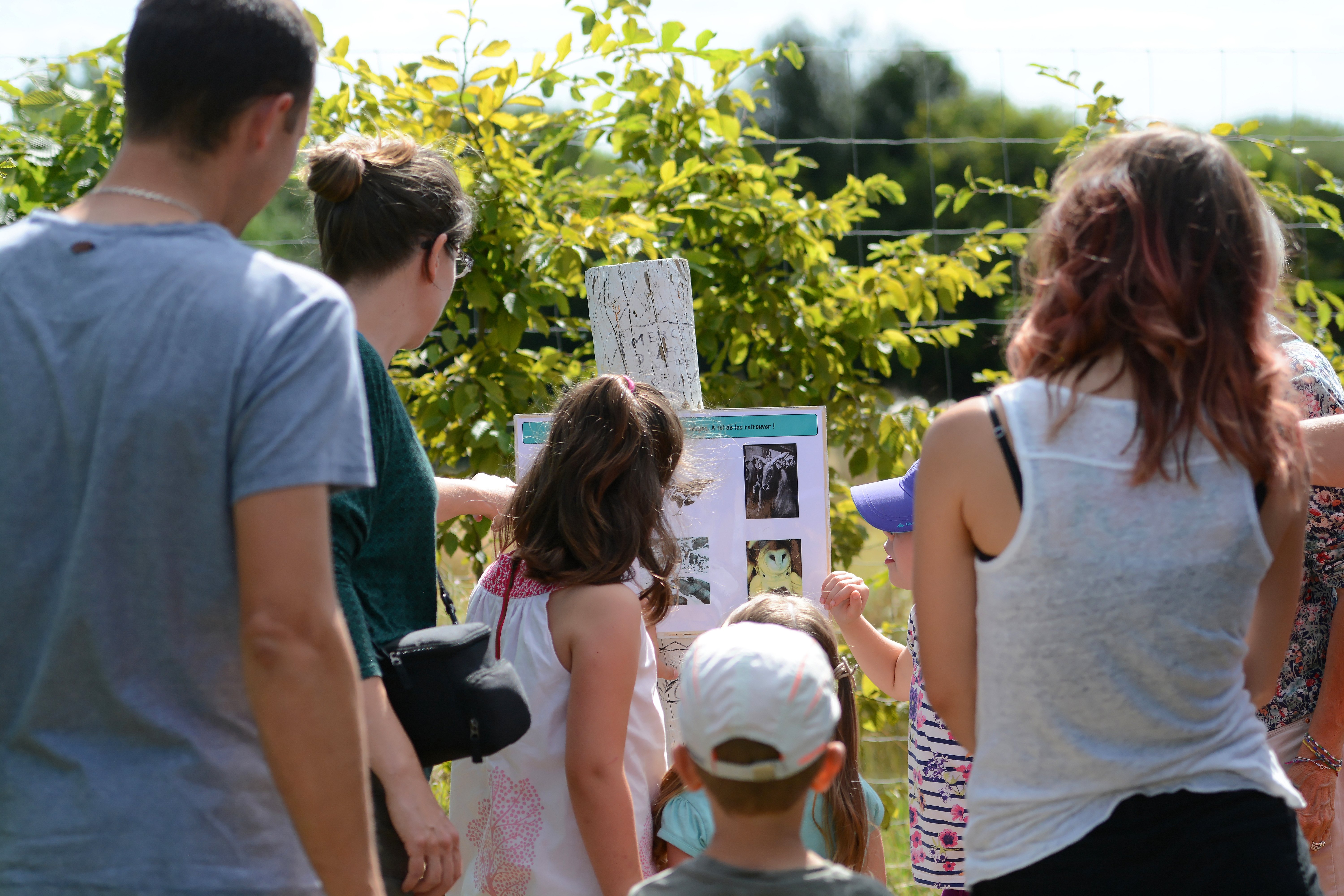 Labyrintruche, Courlay - photo 5