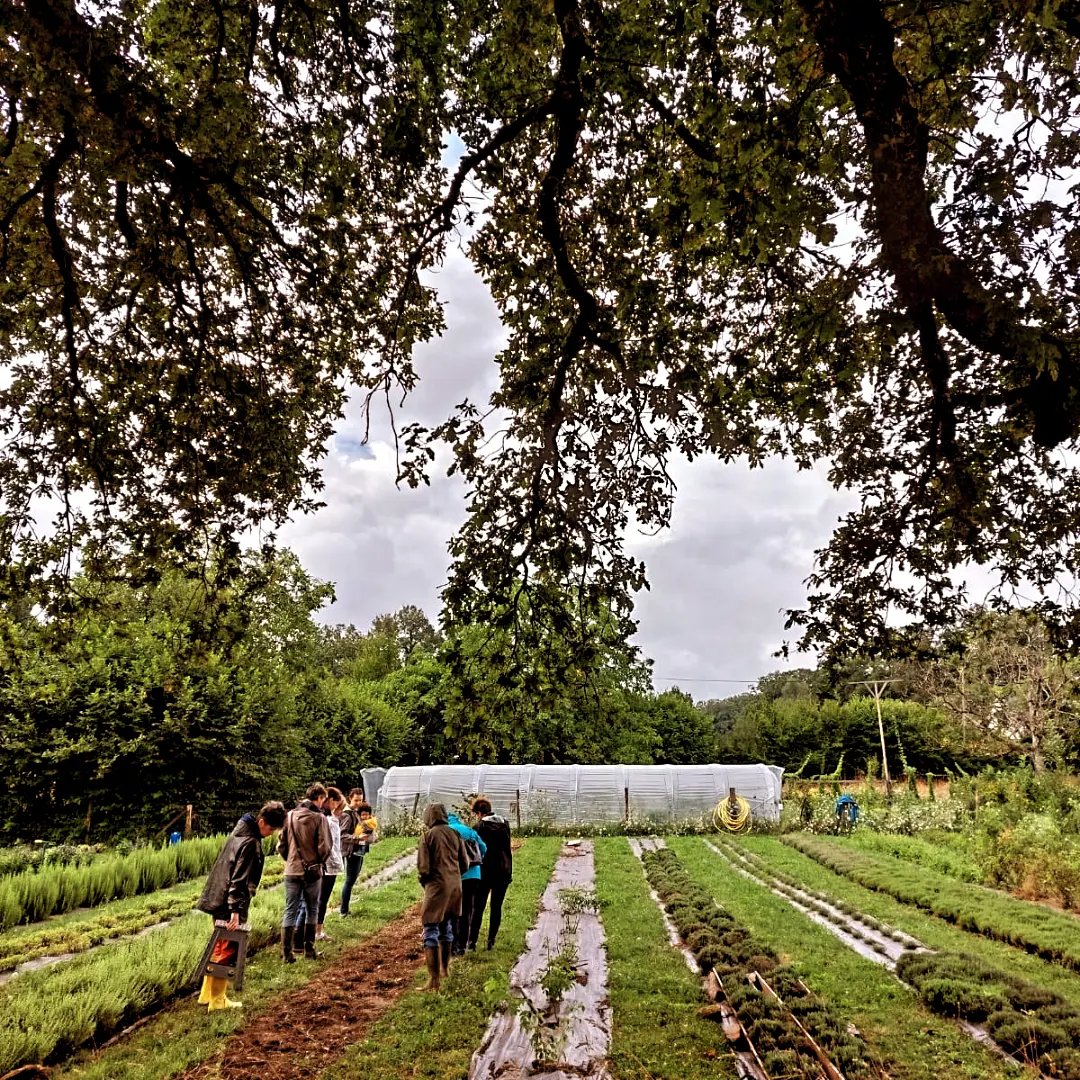 PIMPRENELLE, Saint-Sébastien - photo 2