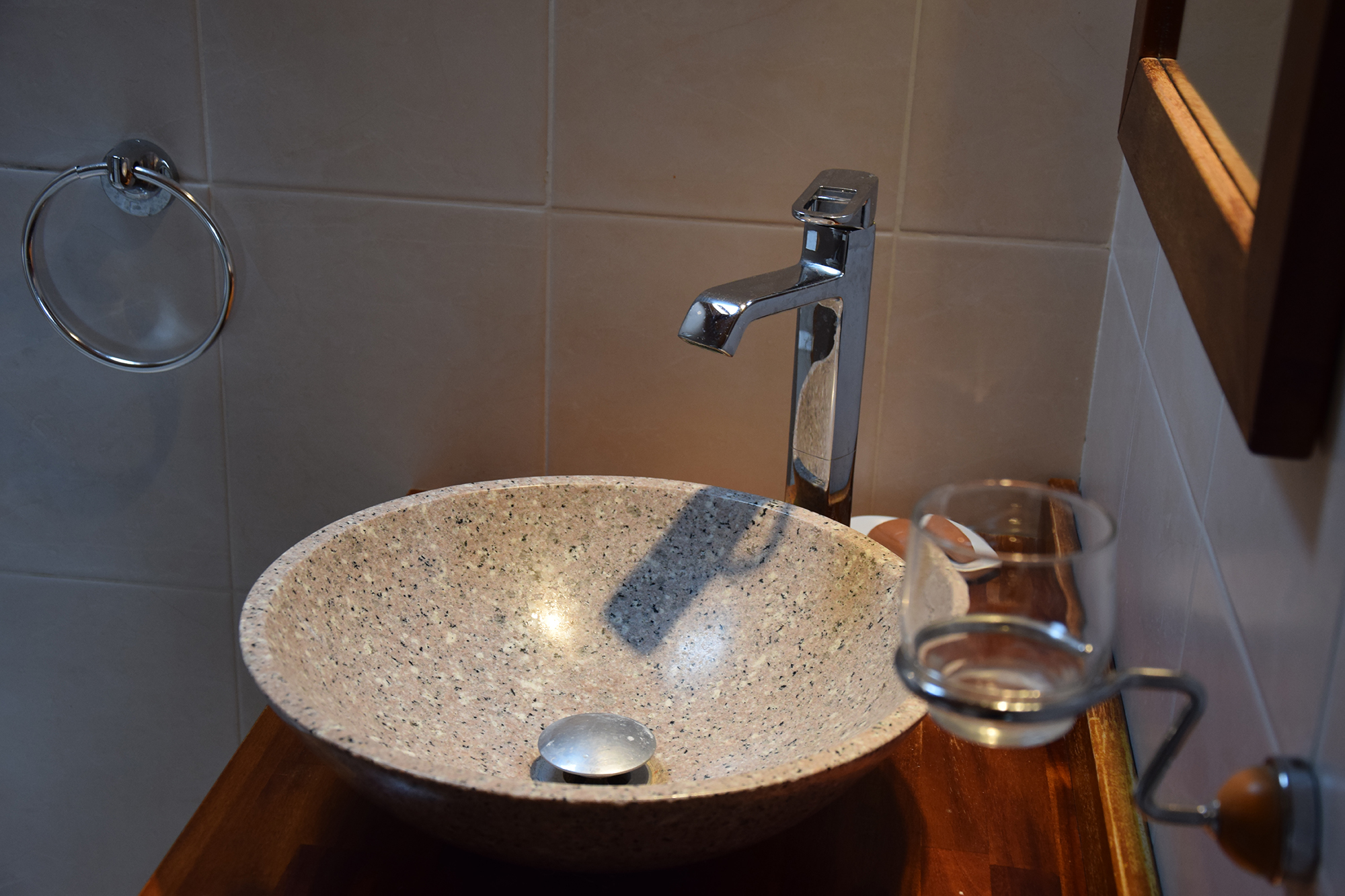 La Jussandière, Boismé - photo 6