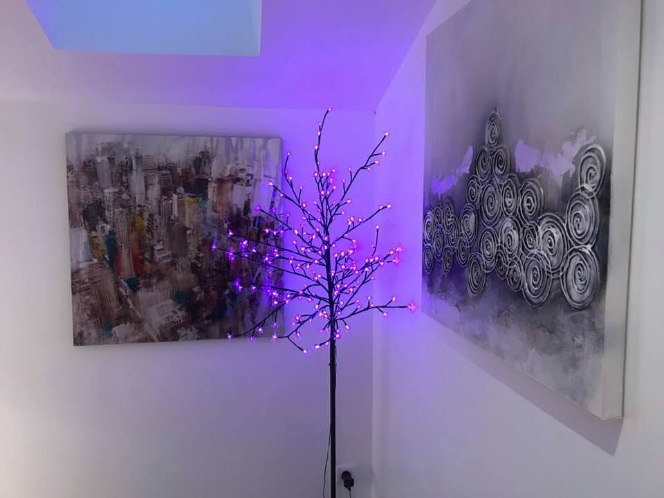 Gîte équestre de la Cavalerie, Le Busseau - photo 2