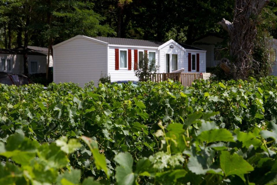 Camping Le Pressoir, Petit-Palais-et-Cornemps - photo 13
