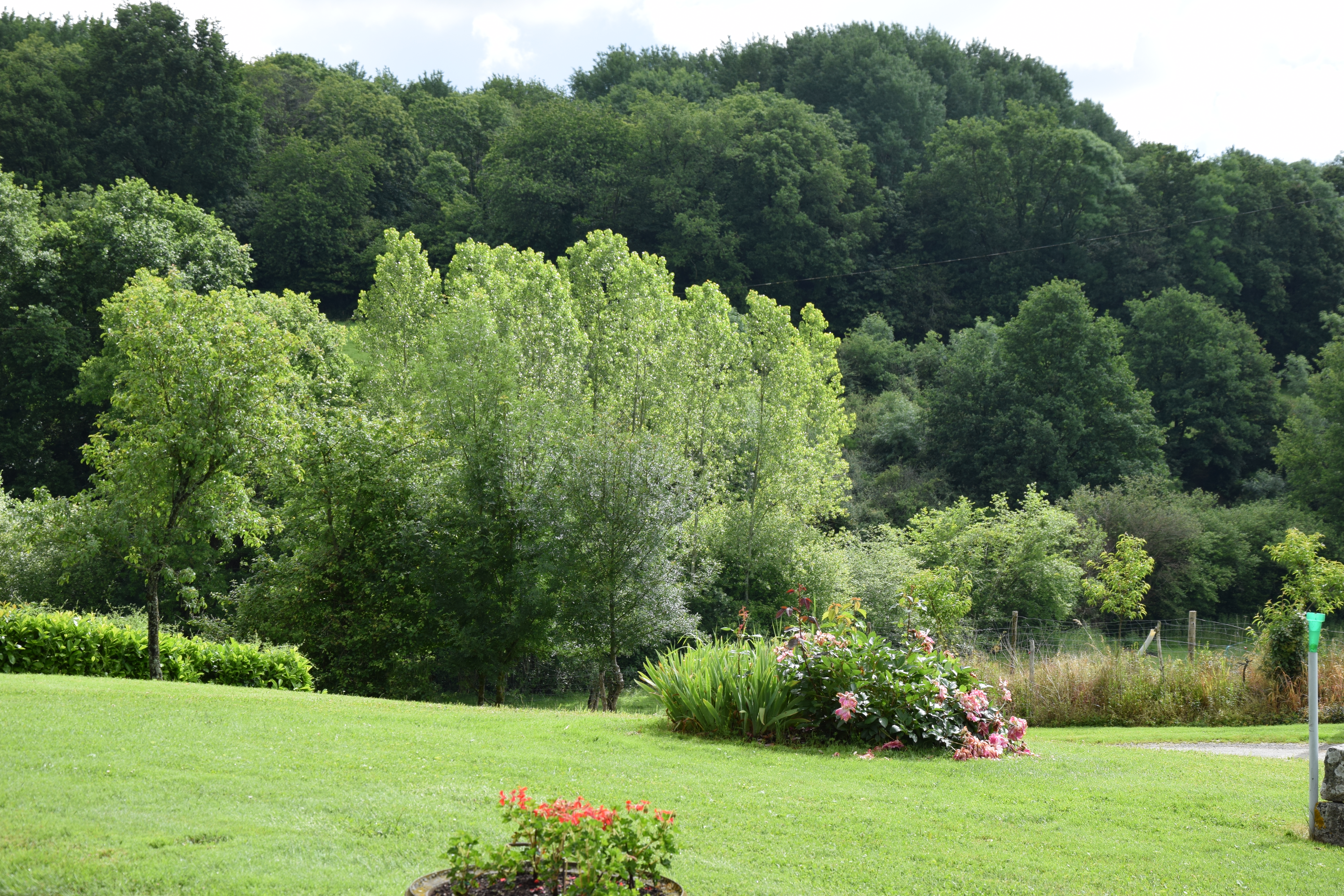 La Jussandière, Boismé - photo 3
