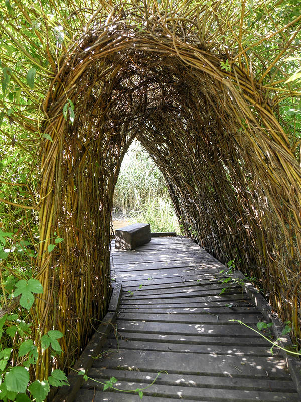 Le marais du Brezou, Lagraulière - photo 5
