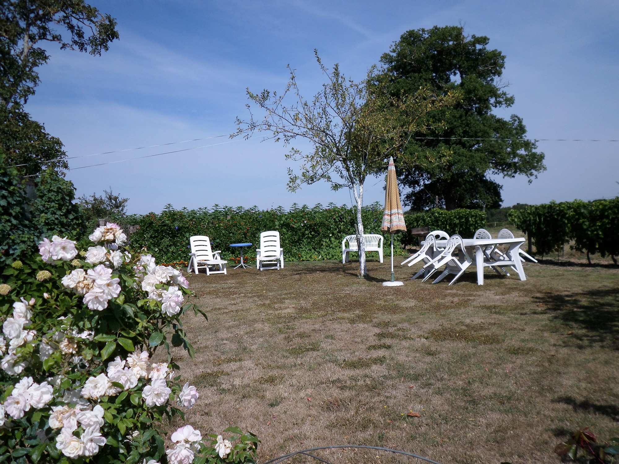 Gîte "Les 3 roses" - photo 5