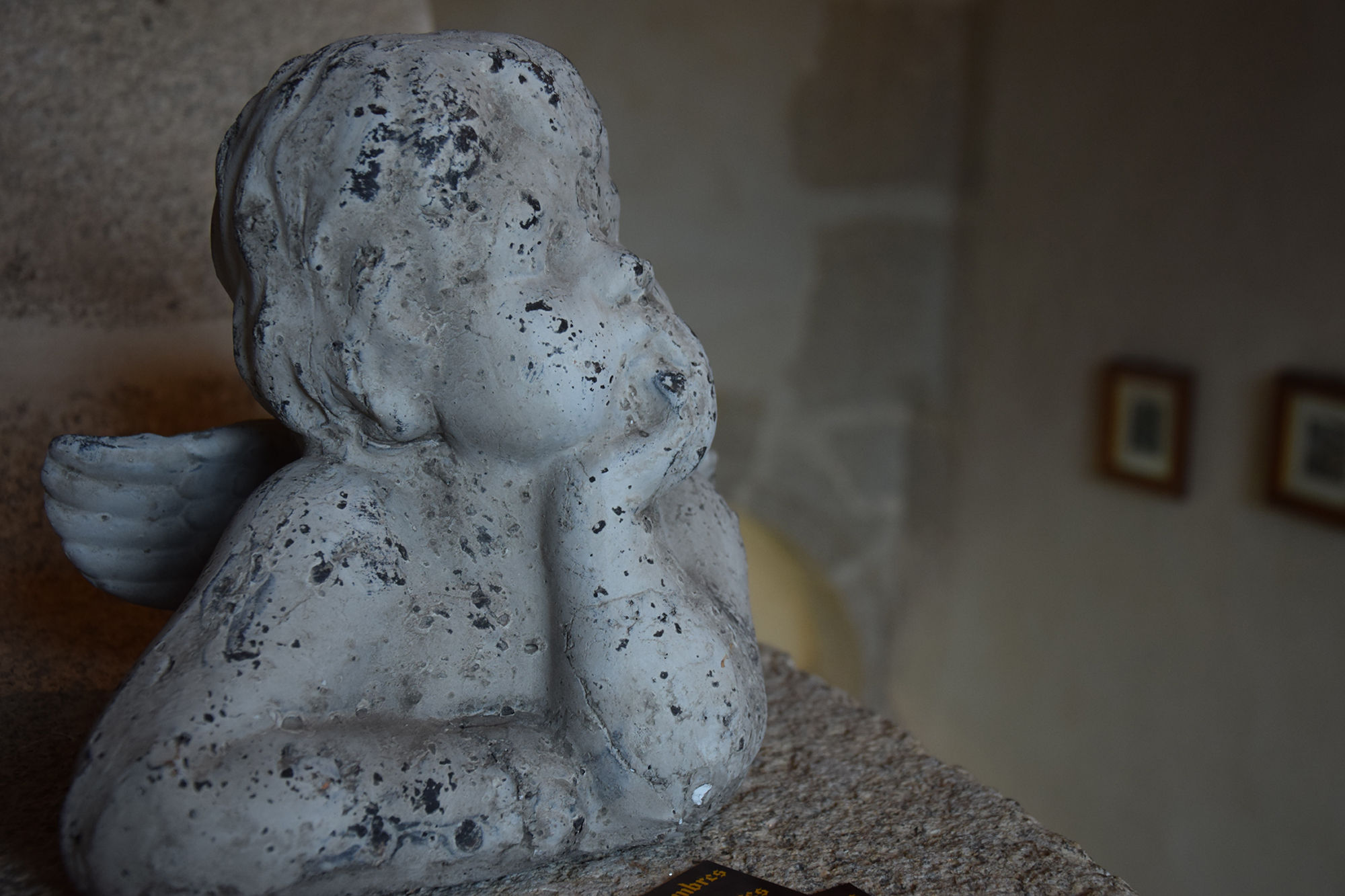 Chambres d'hôtes Logis de Riparfonds, Bressuire - photo 4