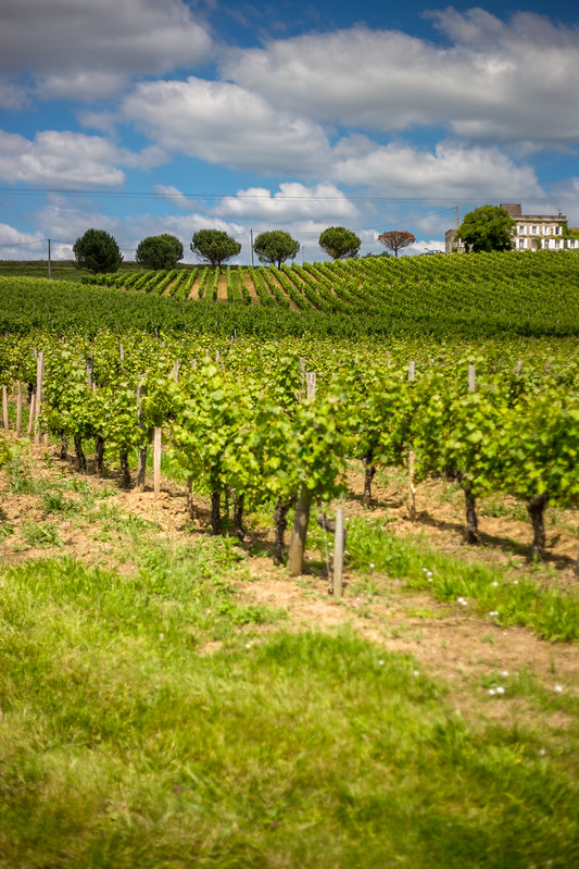 Iconiques à vélo :  la Grotte de Pair non Pair, Bourg - photo 3