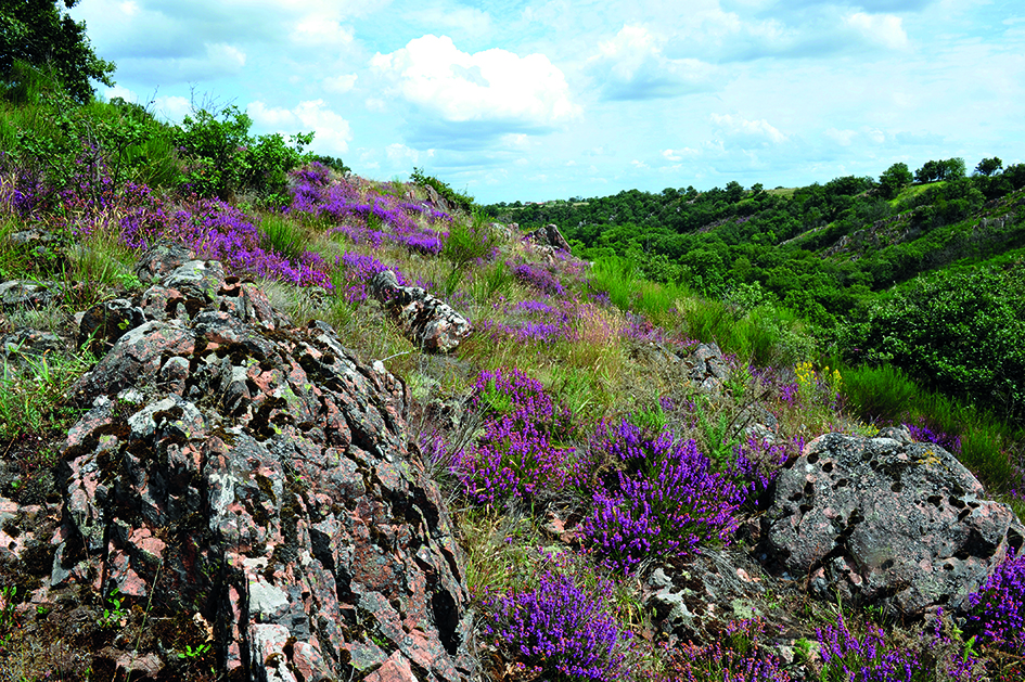 Vélo-Route "La Vallée de l'Argenton" (itinéraire complet) - photo 3