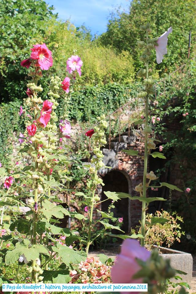 Jardin public "Roseraie", Hautefort - photo 4