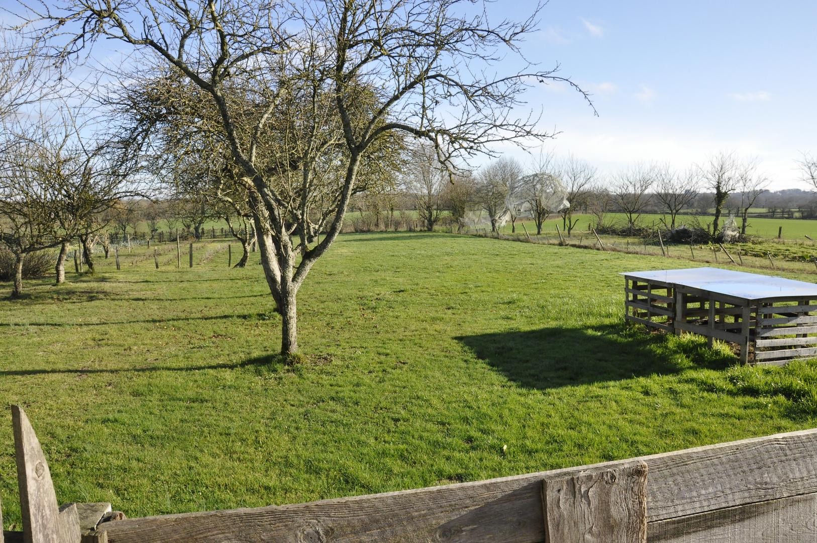 Gîte Le Loriot, La Forêt-sur-Sèvre - photo 8