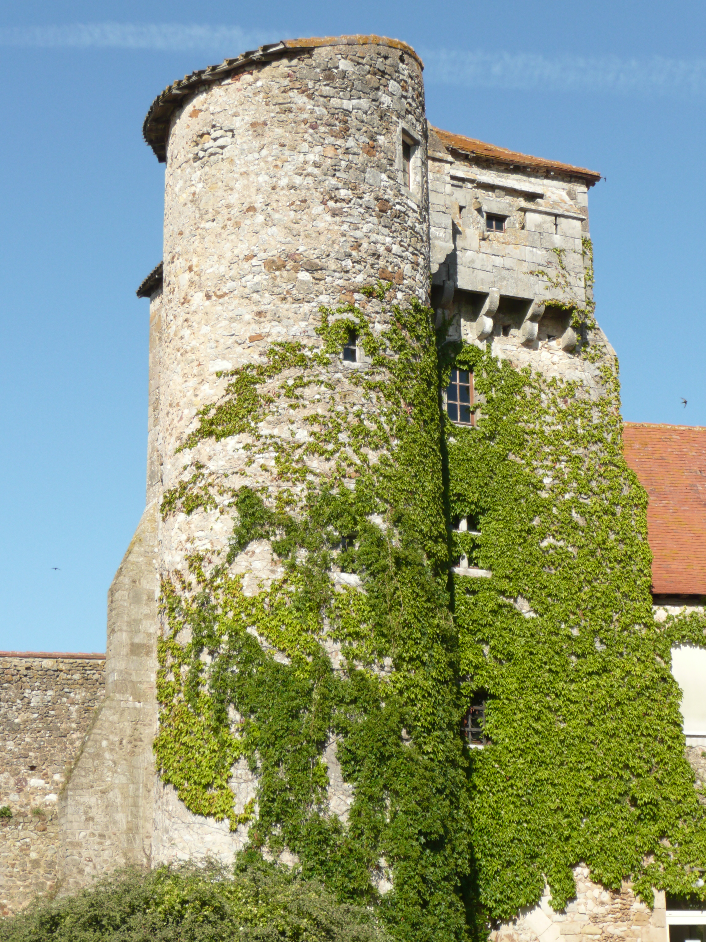 Site de la Maison-Dieu, Montmorillon - photo 6