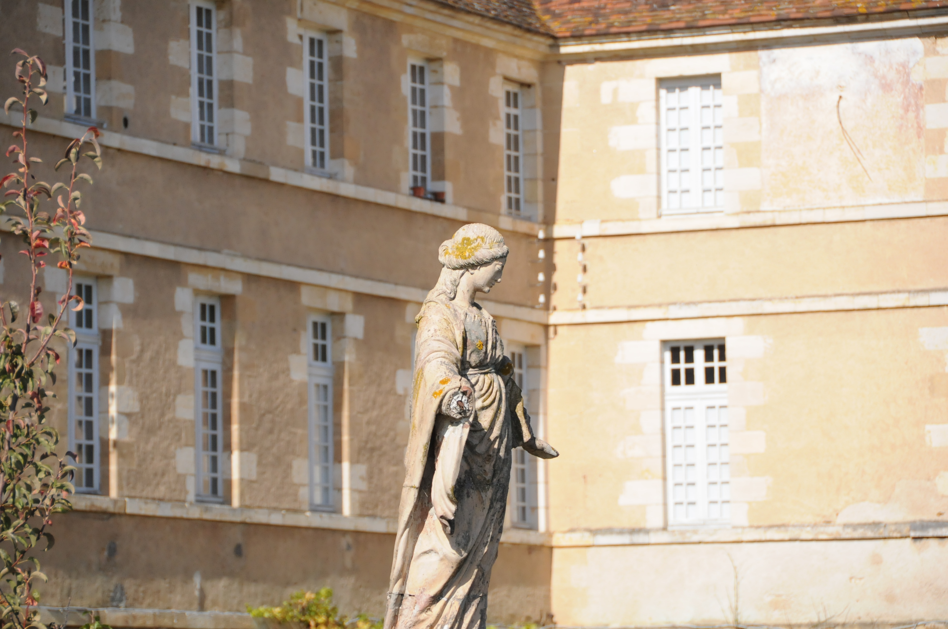 Site de la Maison-Dieu, Montmorillon - photo 3