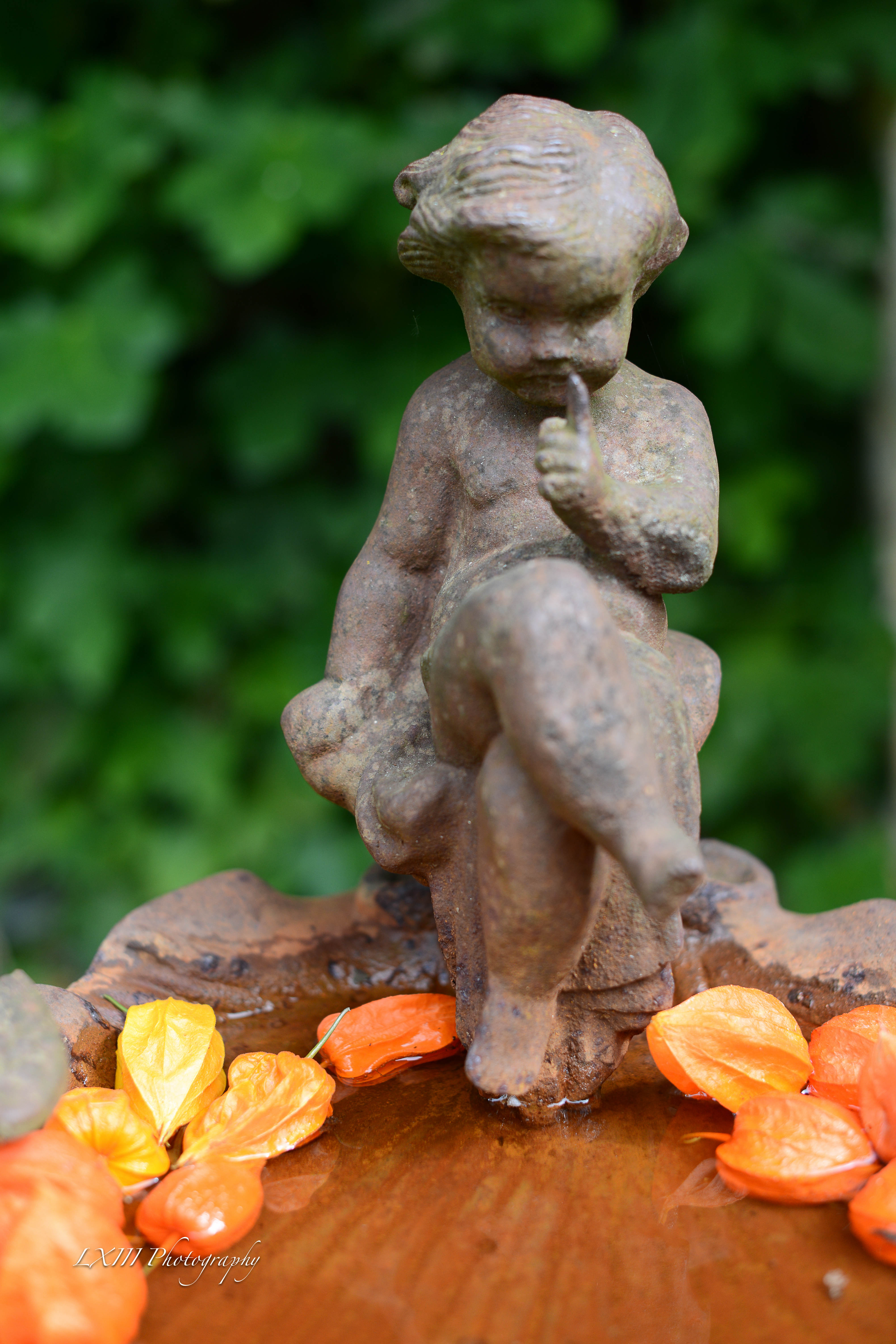 Les Orangeries Éco-hôtel, Lussac-les-Châteaux - photo 2