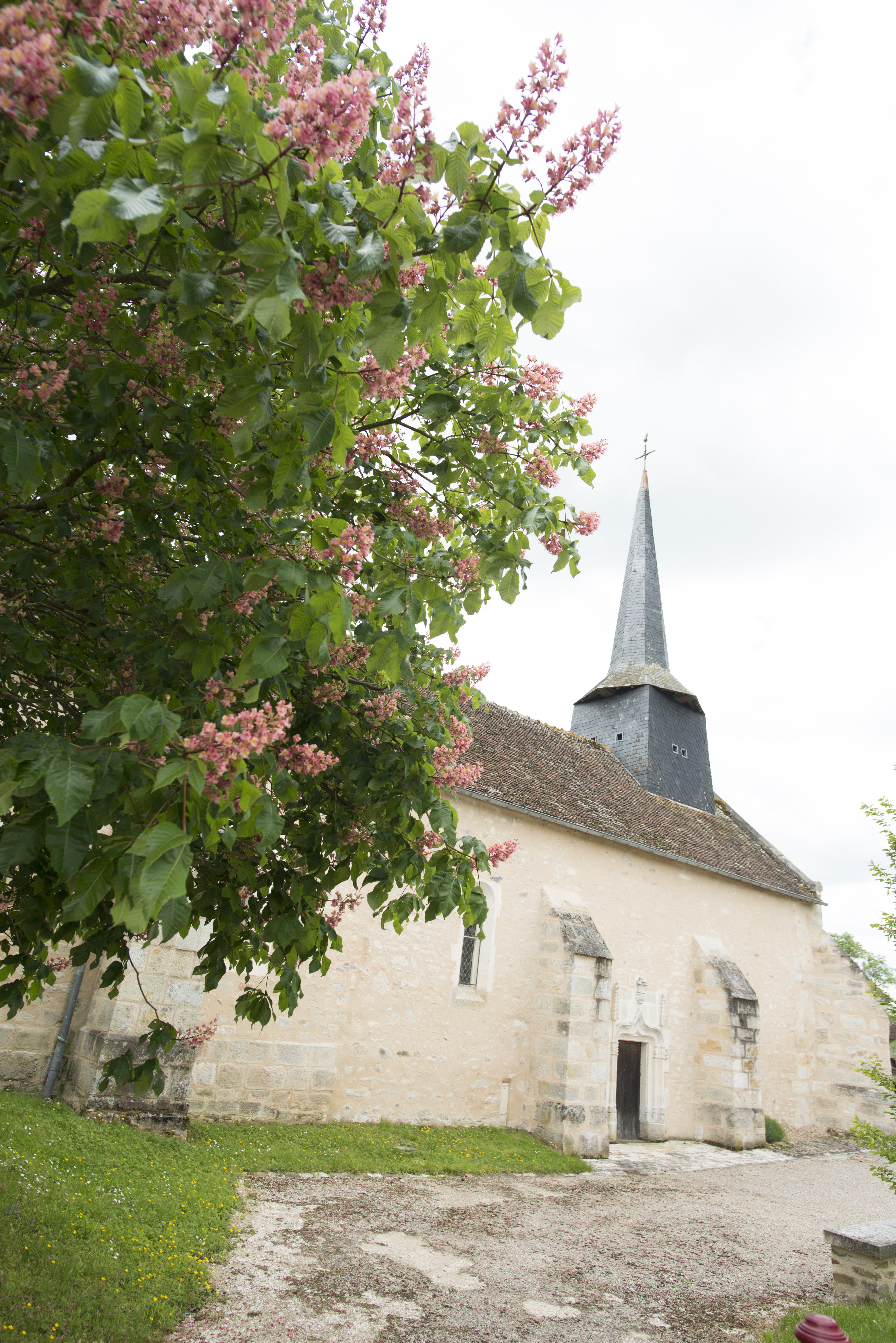 Église Saint-Pierre-et-Saint-Paul, Coulonges - photo 9
