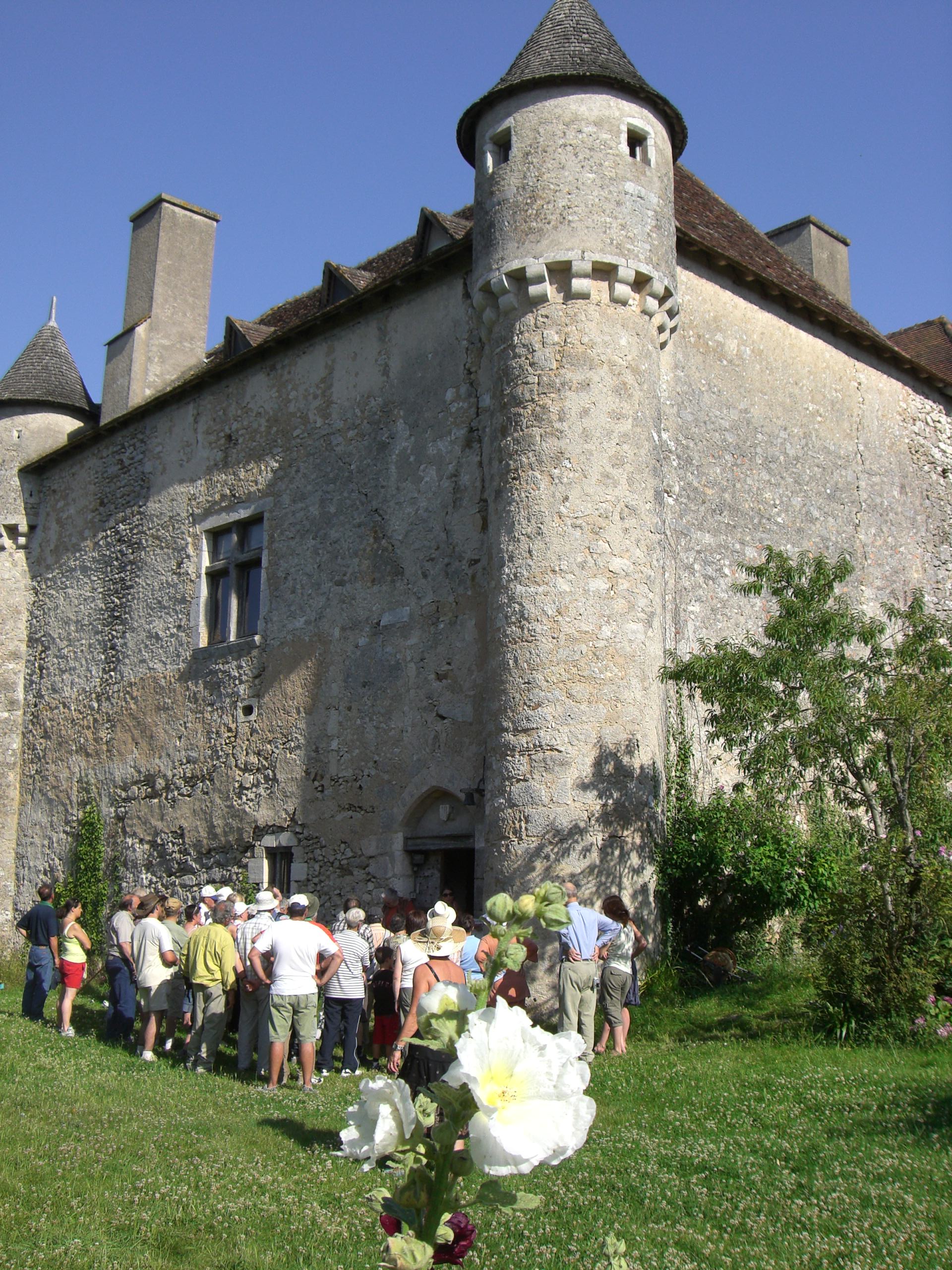 Château de Pruniers, Pindray - photo 3