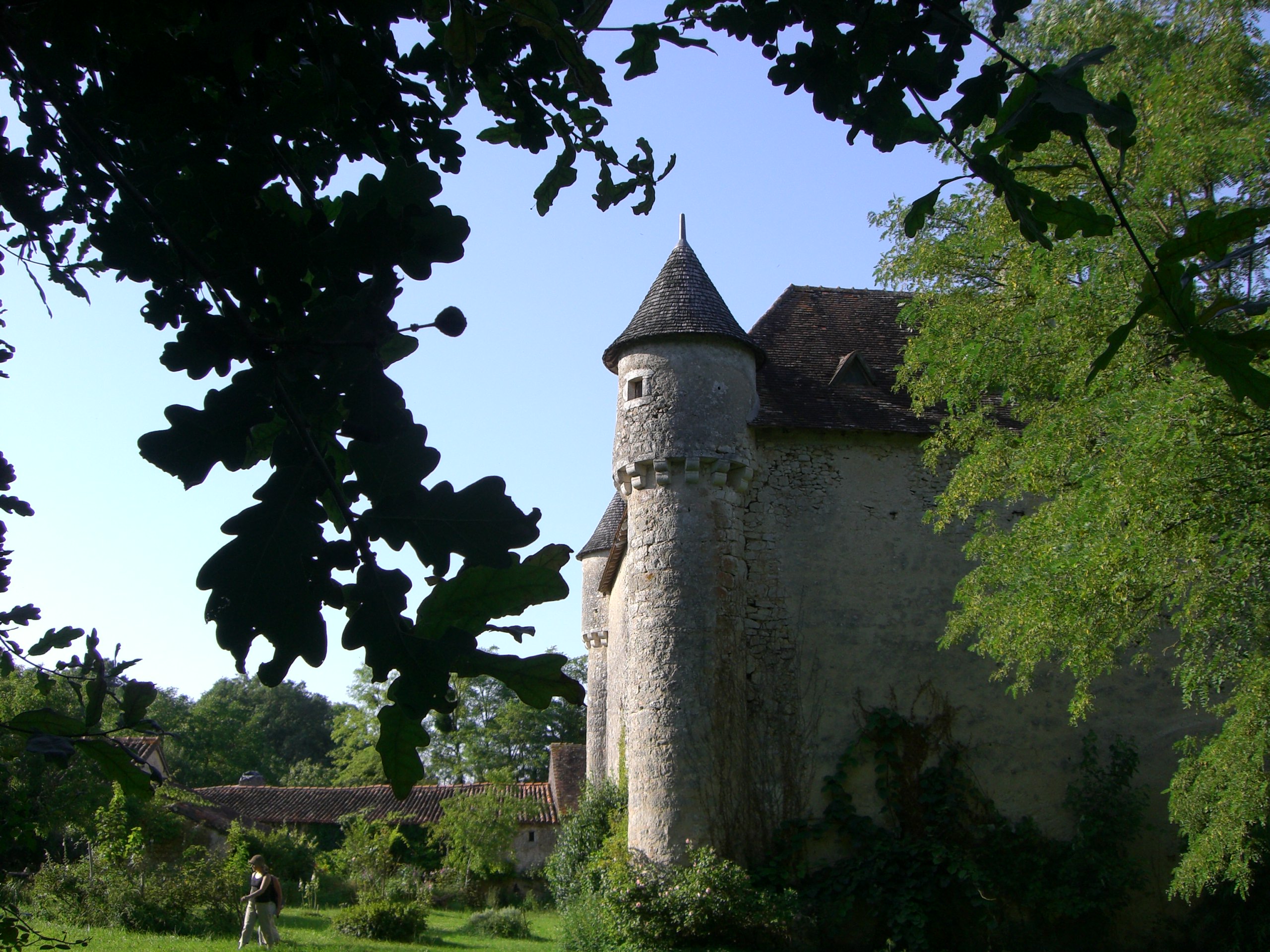Château de Pruniers, Pindray - photo 5
