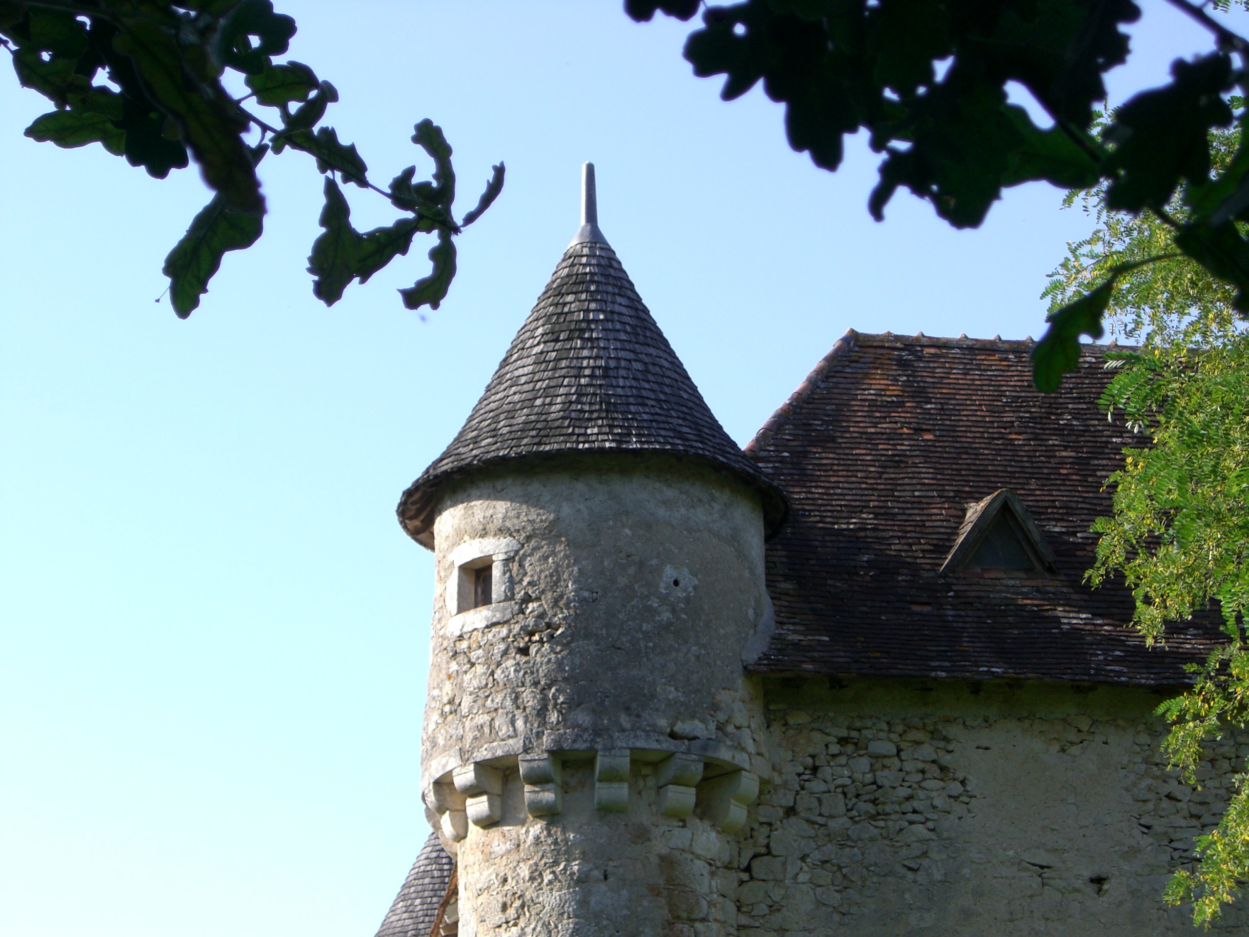 Château de Pruniers, Pindray - photo 2
