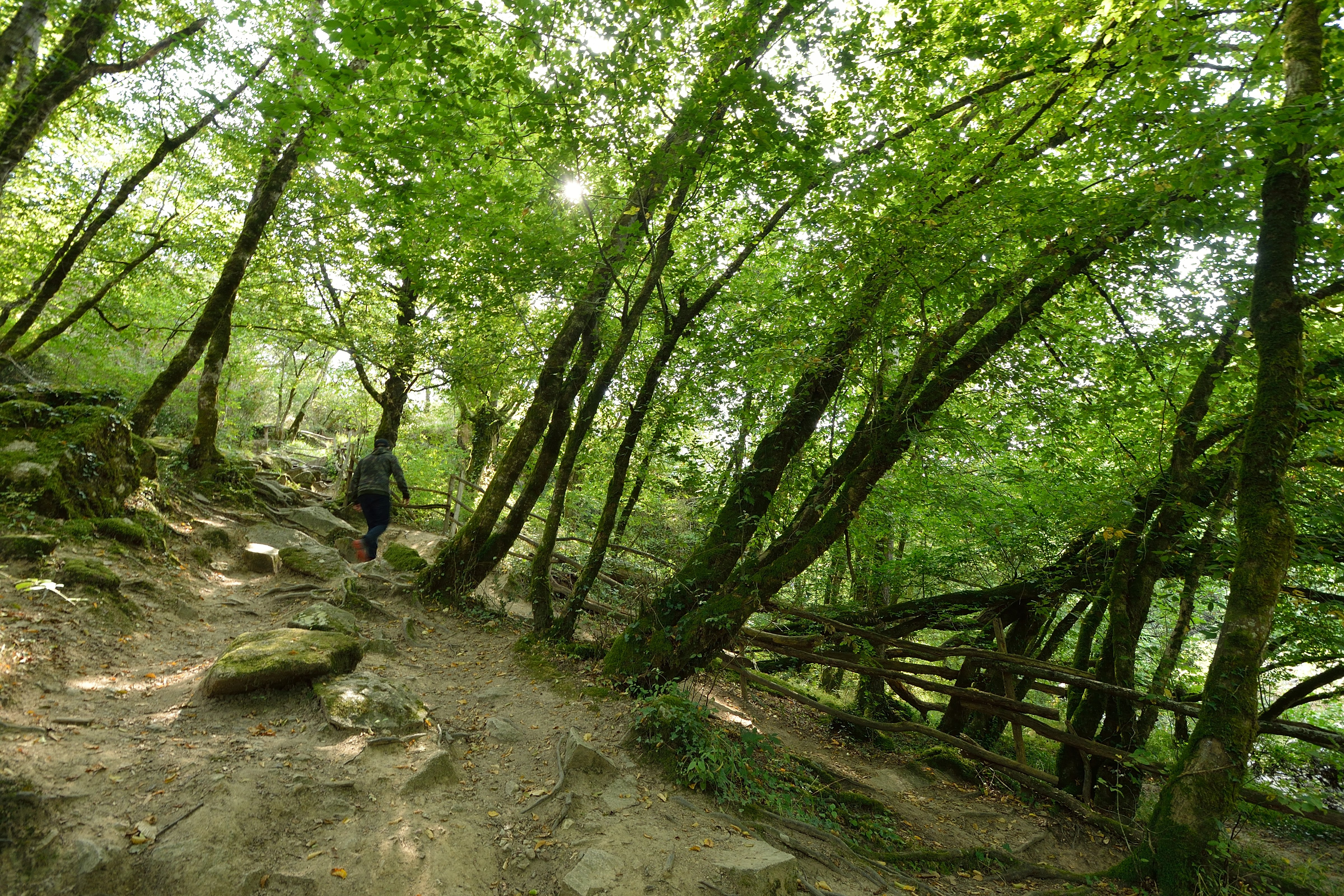 Site du Roc d’Enfer, Lathus-Saint-Rémy - photo 4