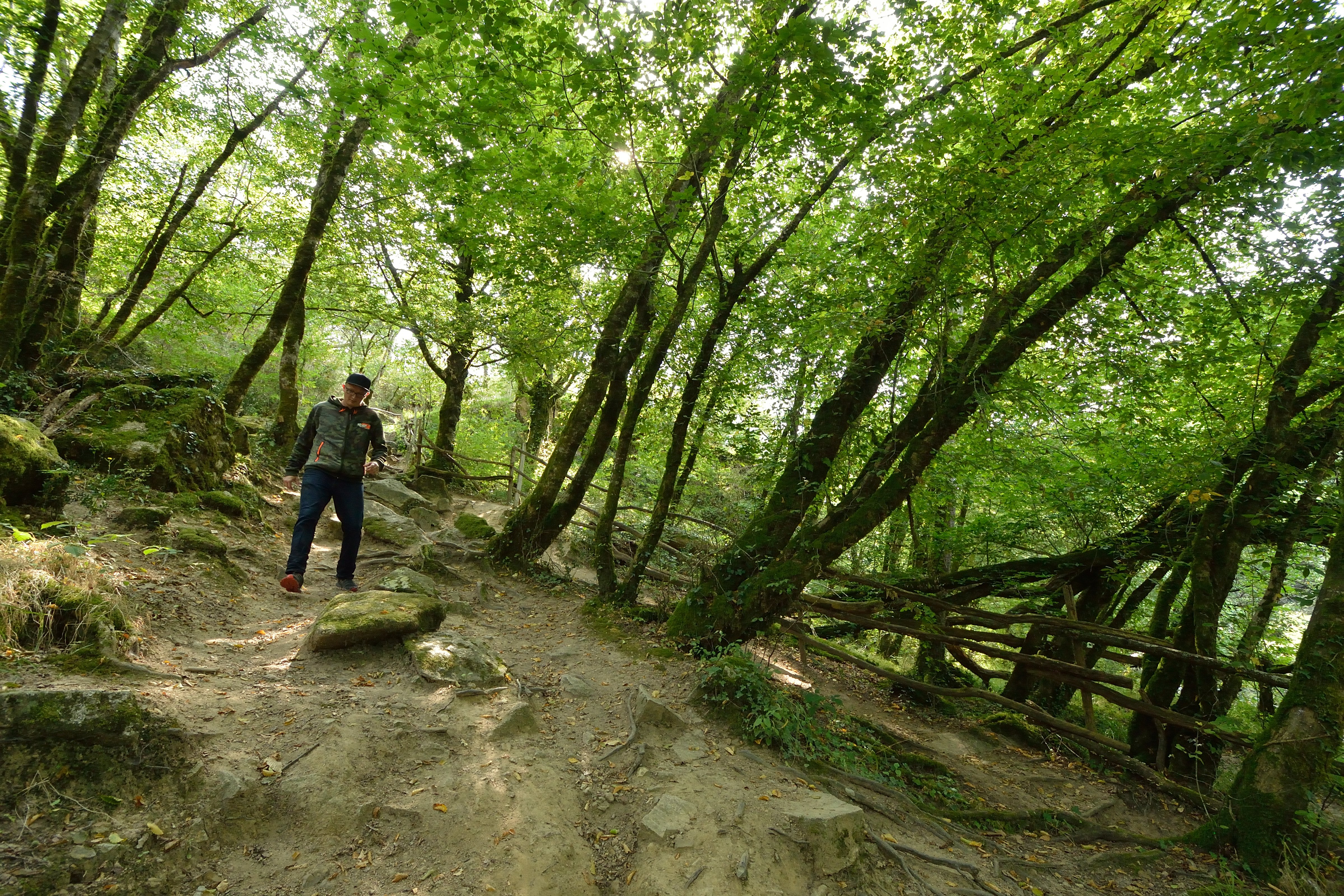 Site du Roc d’Enfer, Lathus-Saint-Rémy - photo 7