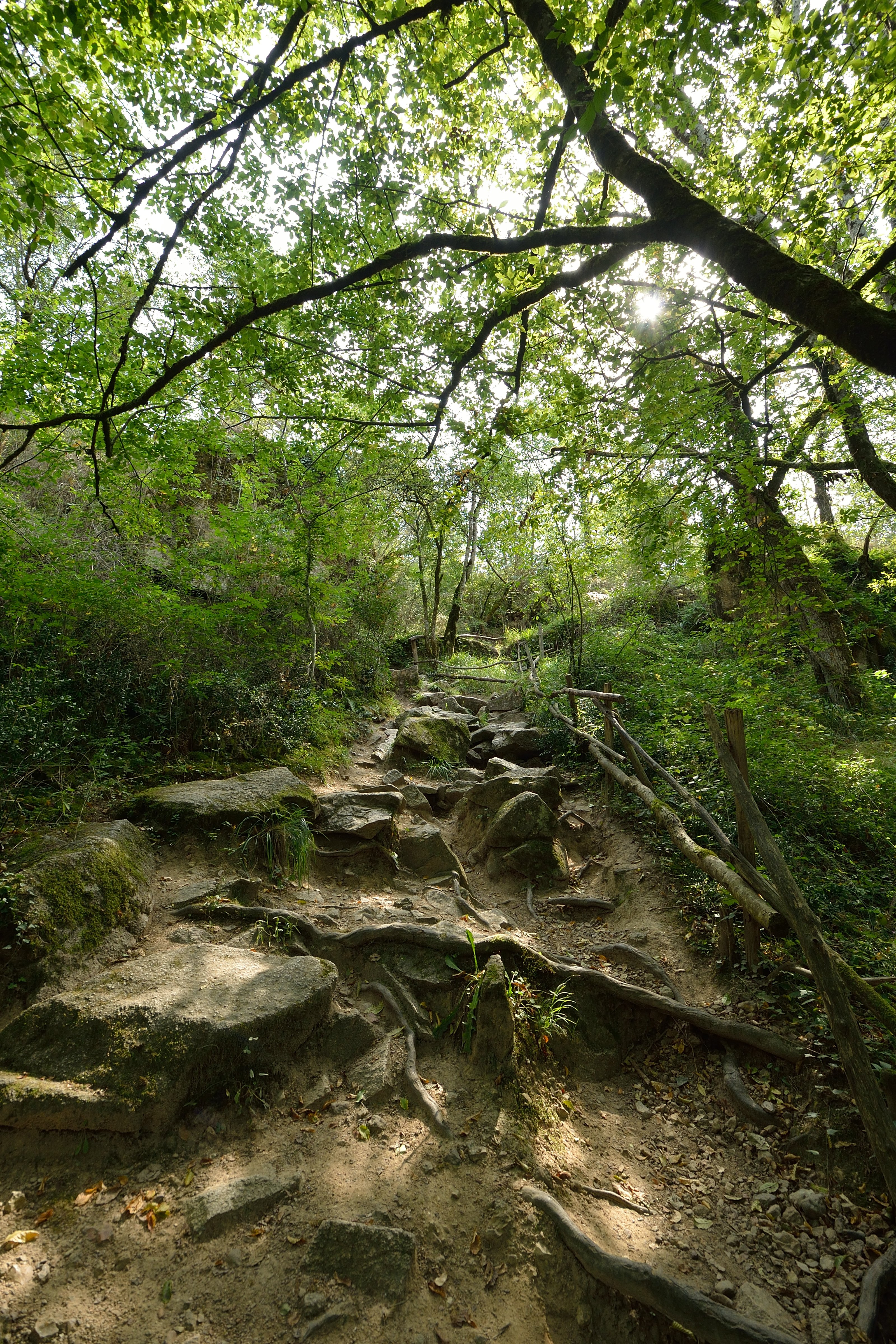 Site du Roc d’Enfer, Lathus-Saint-Rémy - photo 10