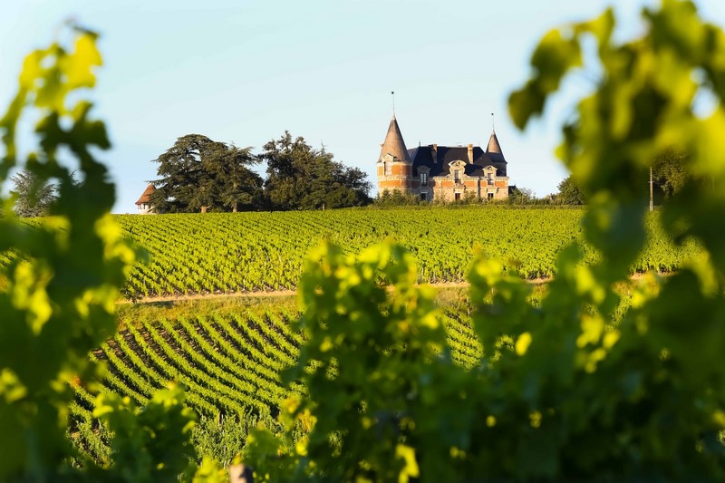Grande boucle au coeur du vignoble de Sauternes, Sauternes - photo 3