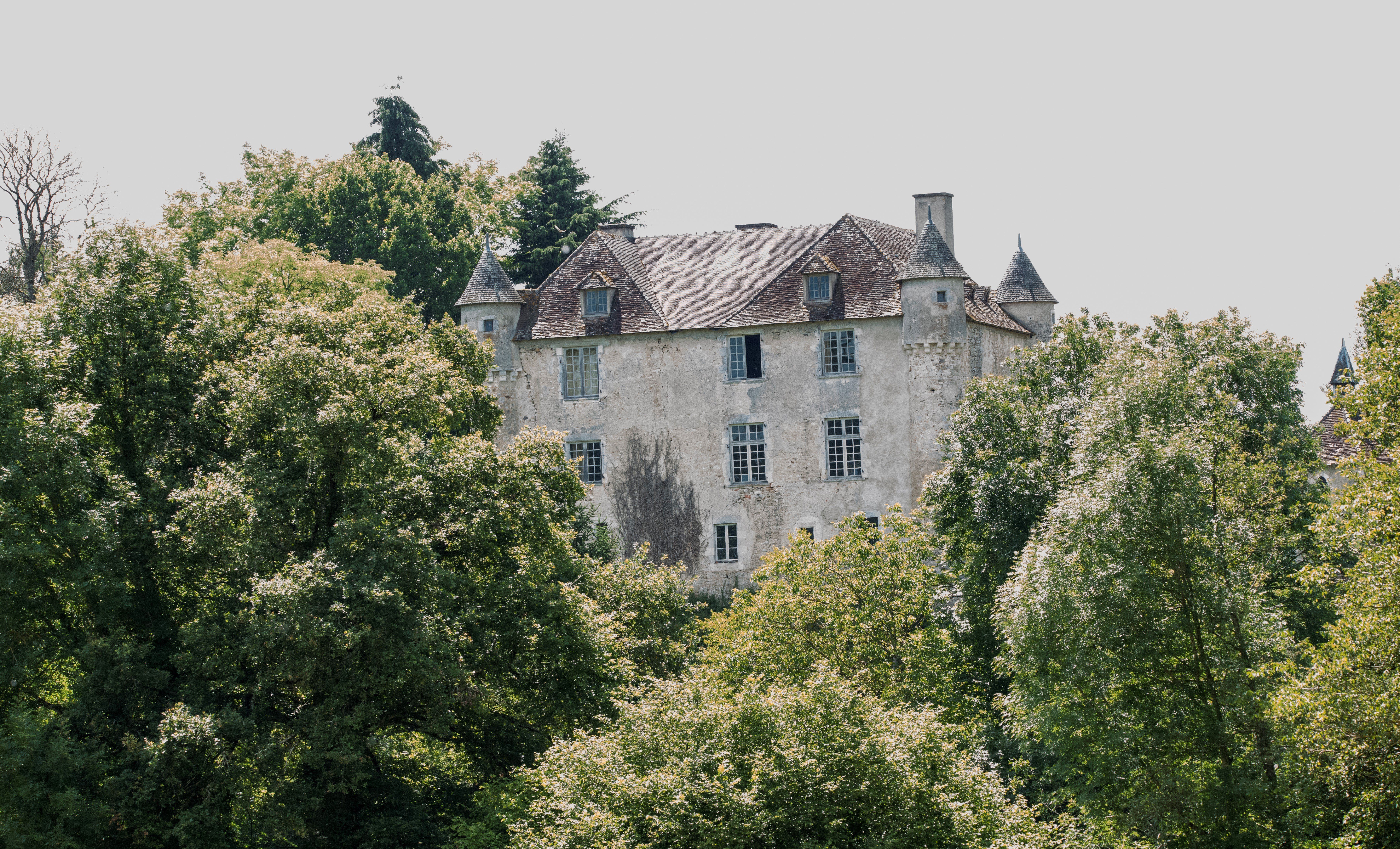 Château de Pruniers, Pindray