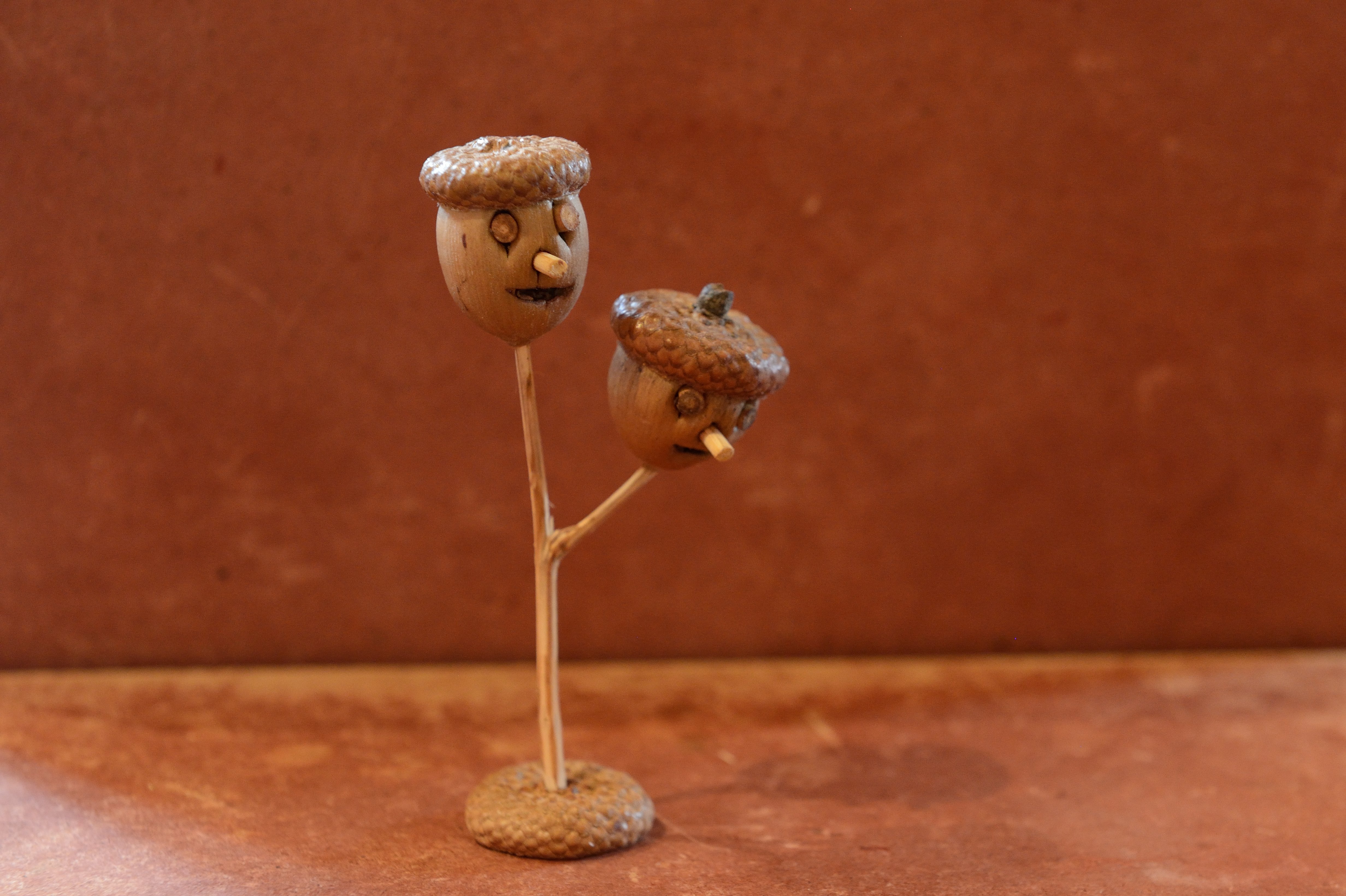 Centre d'interprétation de l'histoire rurale - Ecomusée du Montmorillonnais, Saulgé - photo 10