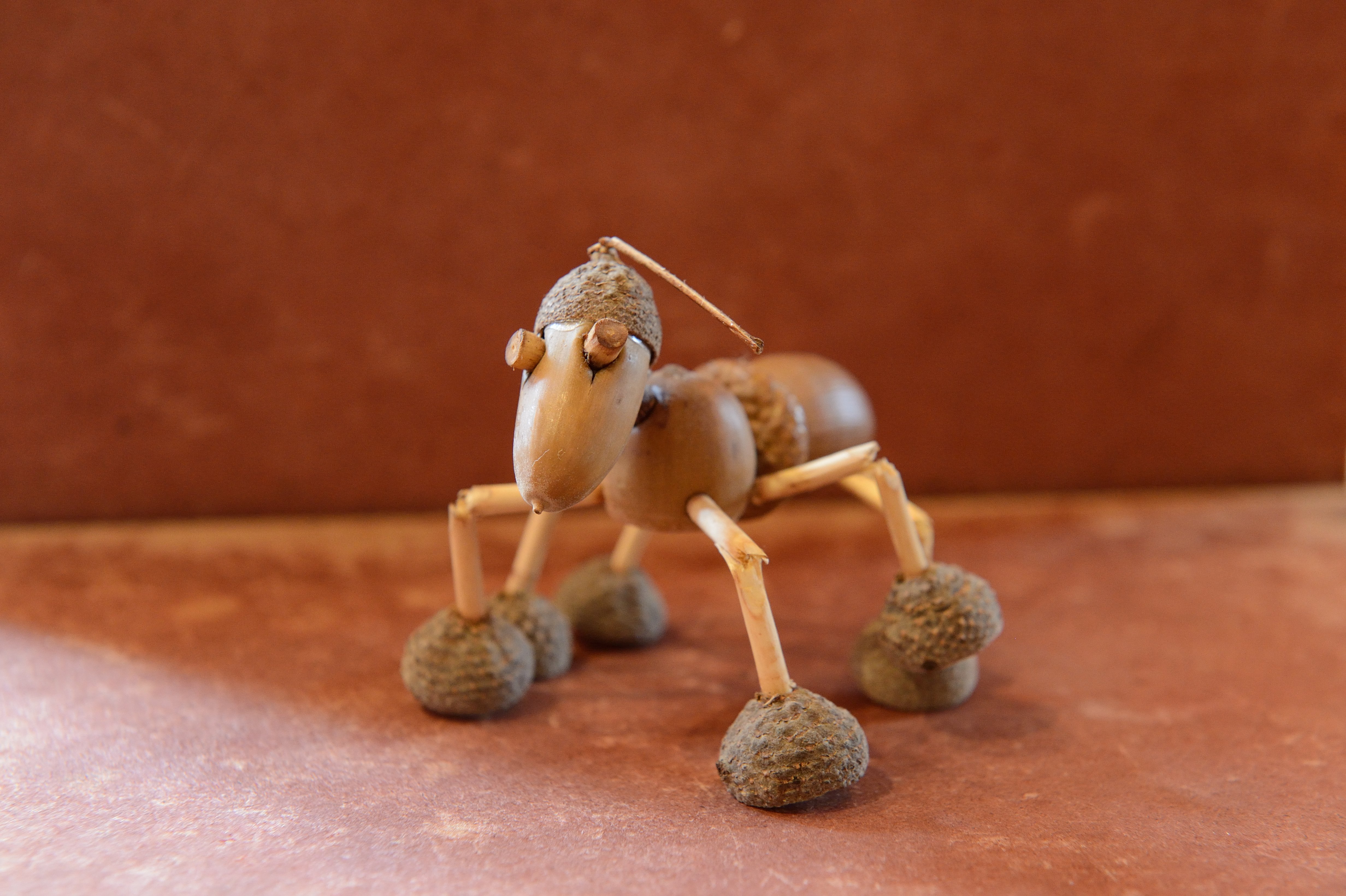 Centre d'interprétation de l'histoire rurale - Ecomusée du Montmorillonnais, Saulgé - photo 3