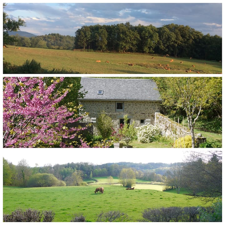 Meublé de Tourisme LASCAUD - l'Ardoisette, Sarroux - Saint Julien - photo 12